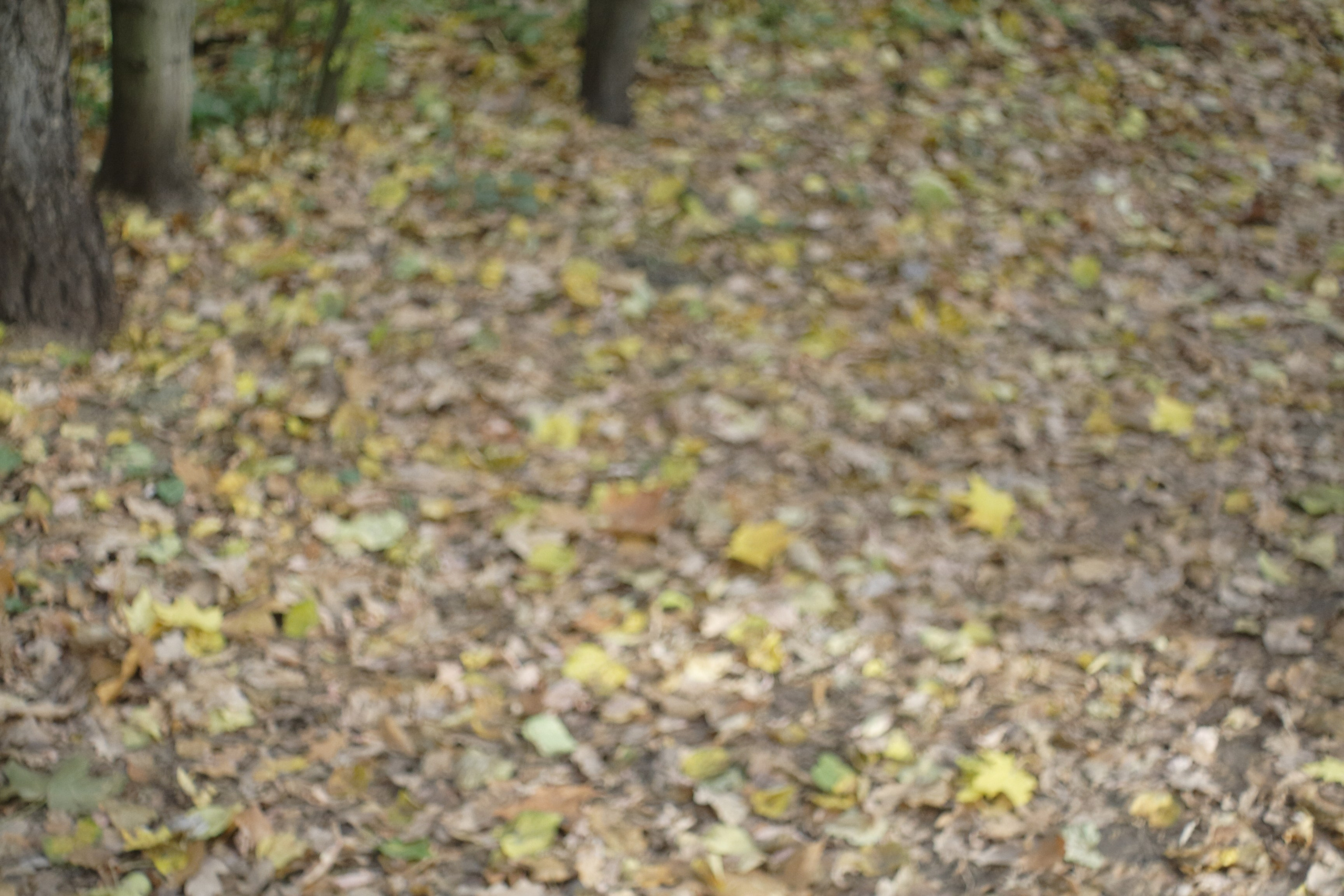 Старое природное, отбирала Katamount (Катерина Горохова). Главная