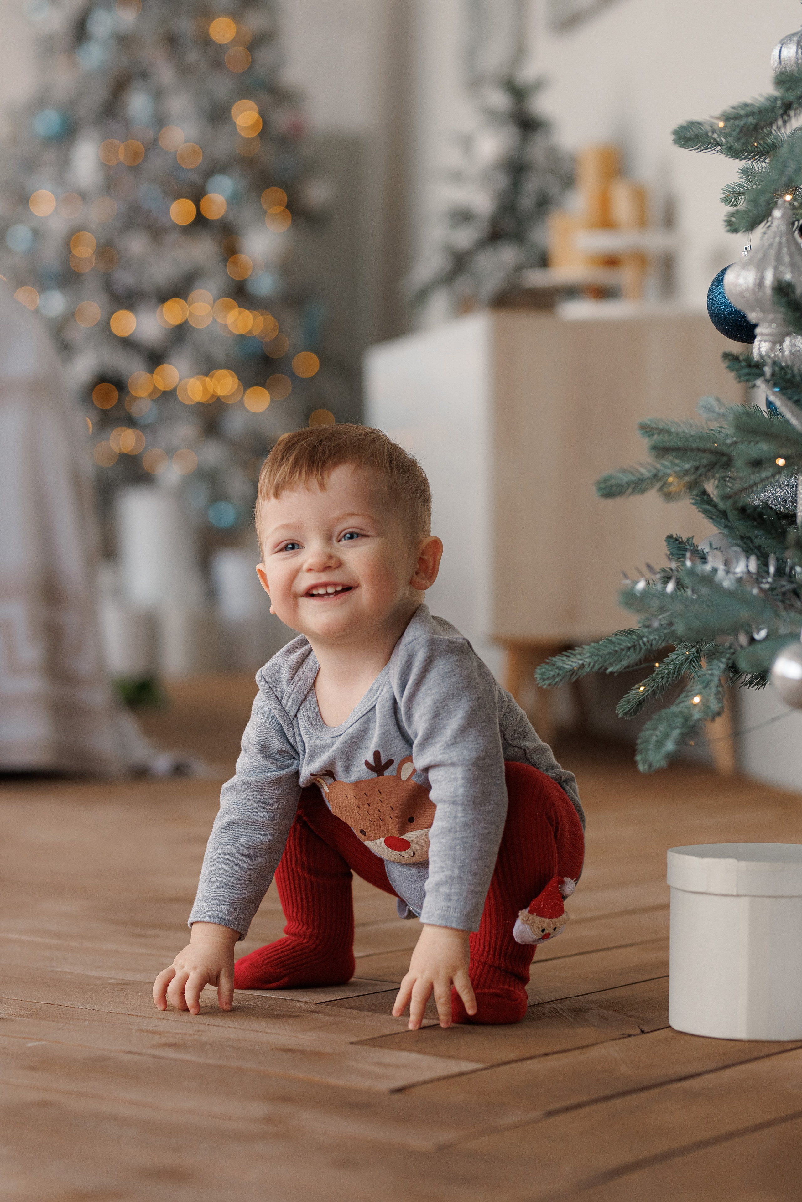 Новогодняя. Свадебный и семейный фотограф Наталья Штык