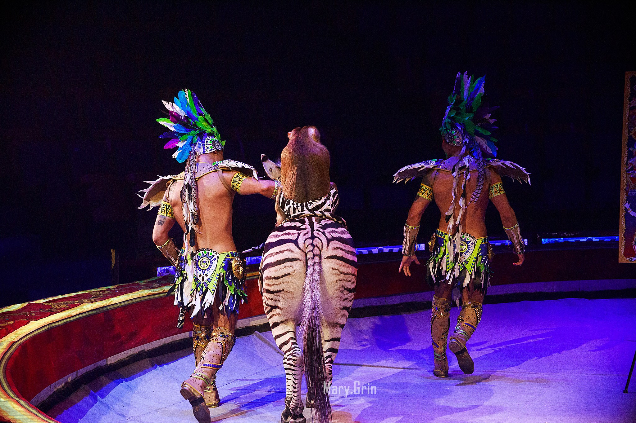 Цирк Гии Эрадзе. Детский и семейный фотограф, фотограф мероприятий Нижний Новгород