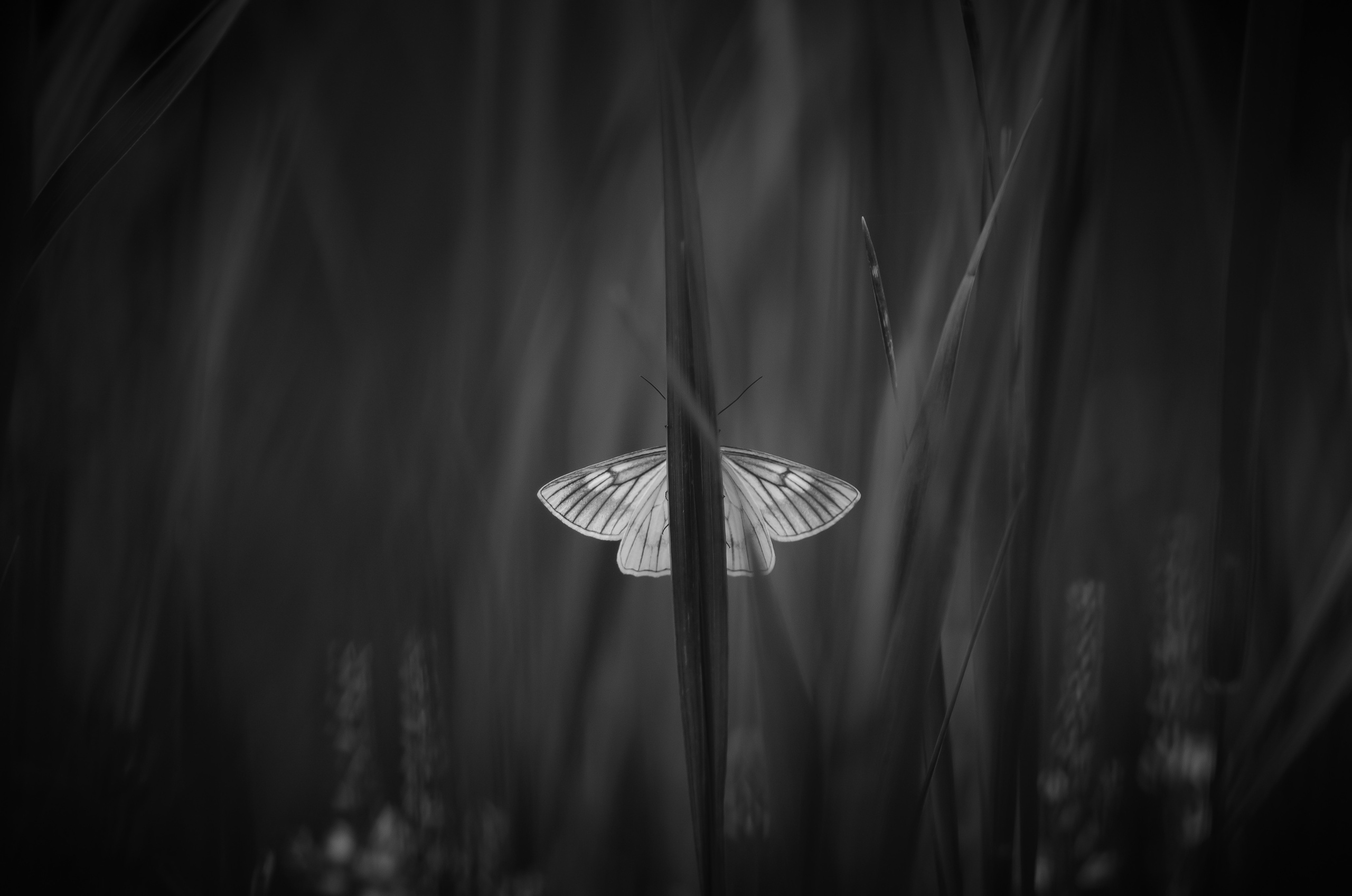 Природа. Фотограф Таинства Крещения в Саратове Ильченко Артем