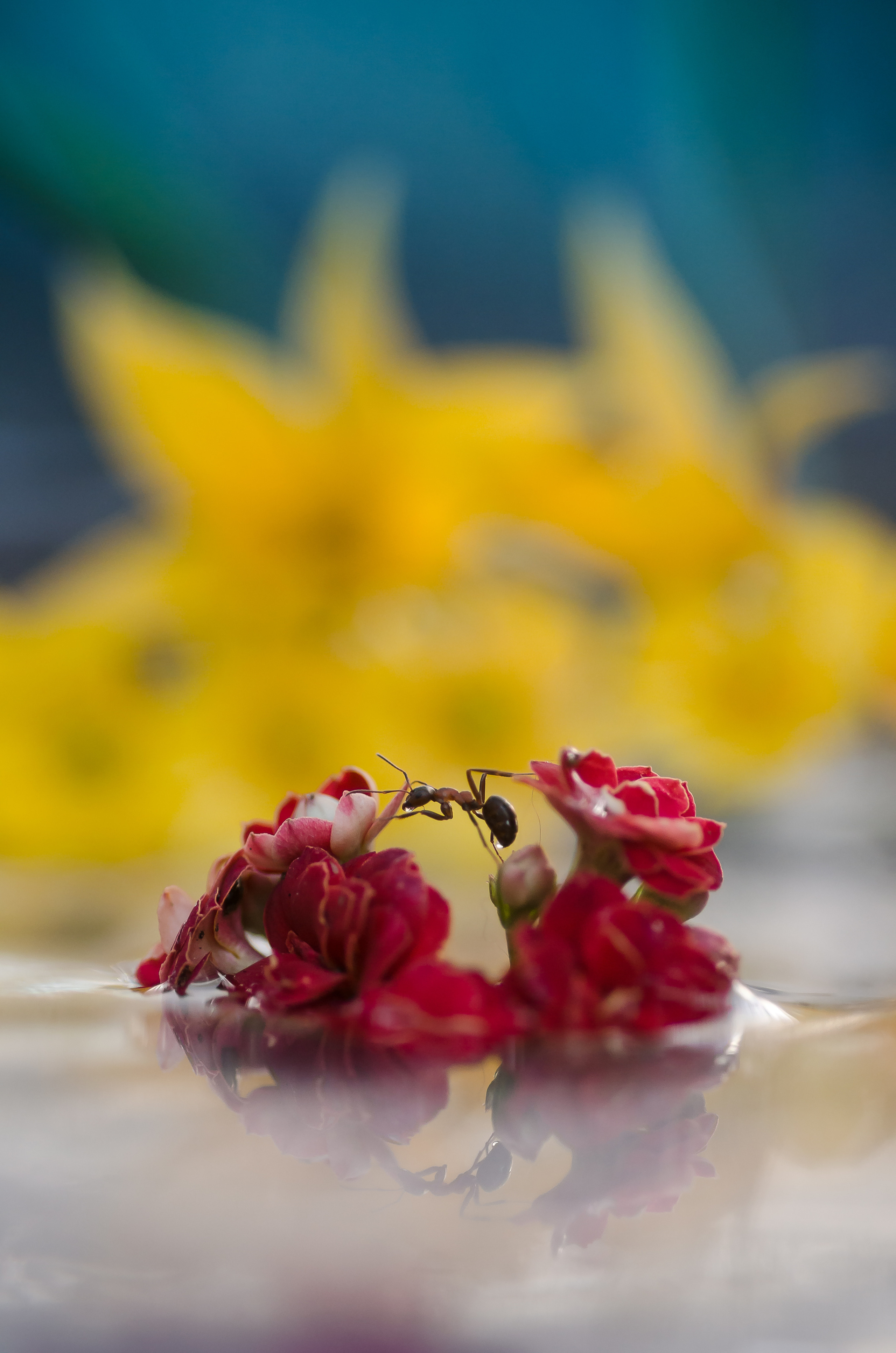 Природа. Фотограф Таинства Крещения в Саратове Ильченко Артем