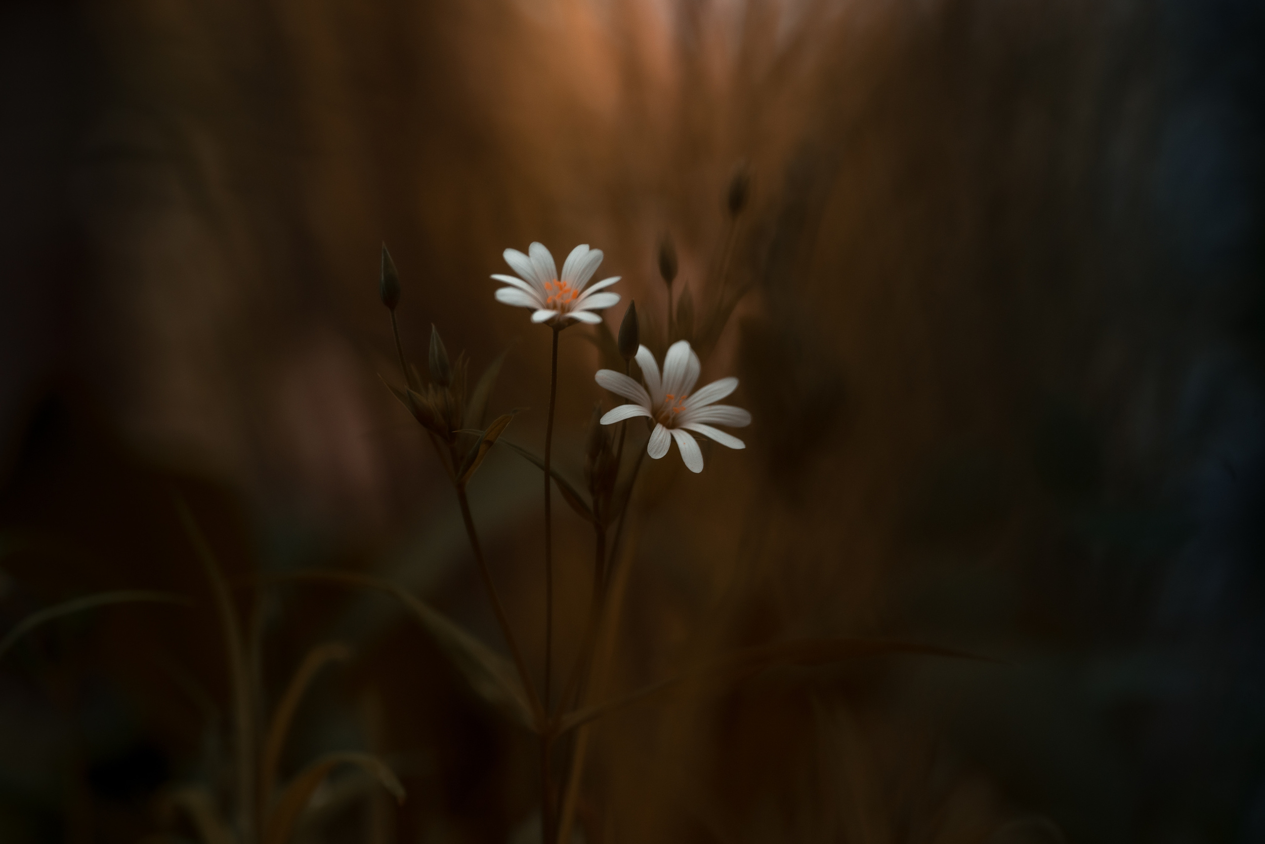 Природа. Фотограф Таинства Крещения в Саратове Ильченко Артем