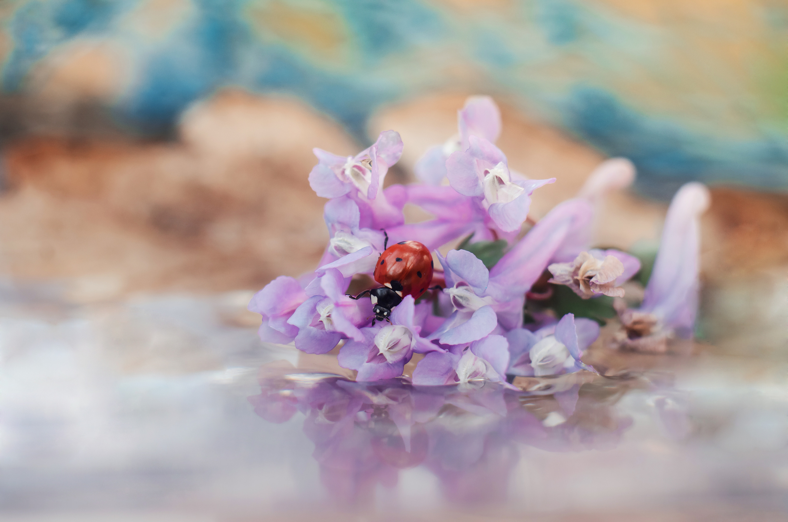 Природа. Фотограф Таинства Крещения в Саратове Ильченко Артем