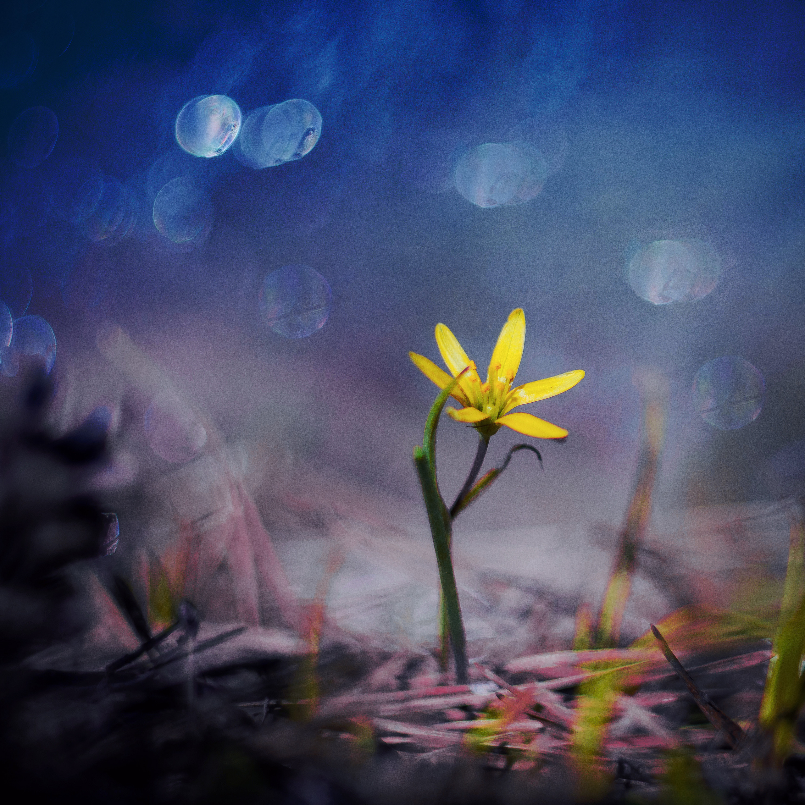 Природа. Фотограф Таинства Крещения в Саратове Ильченко Артем