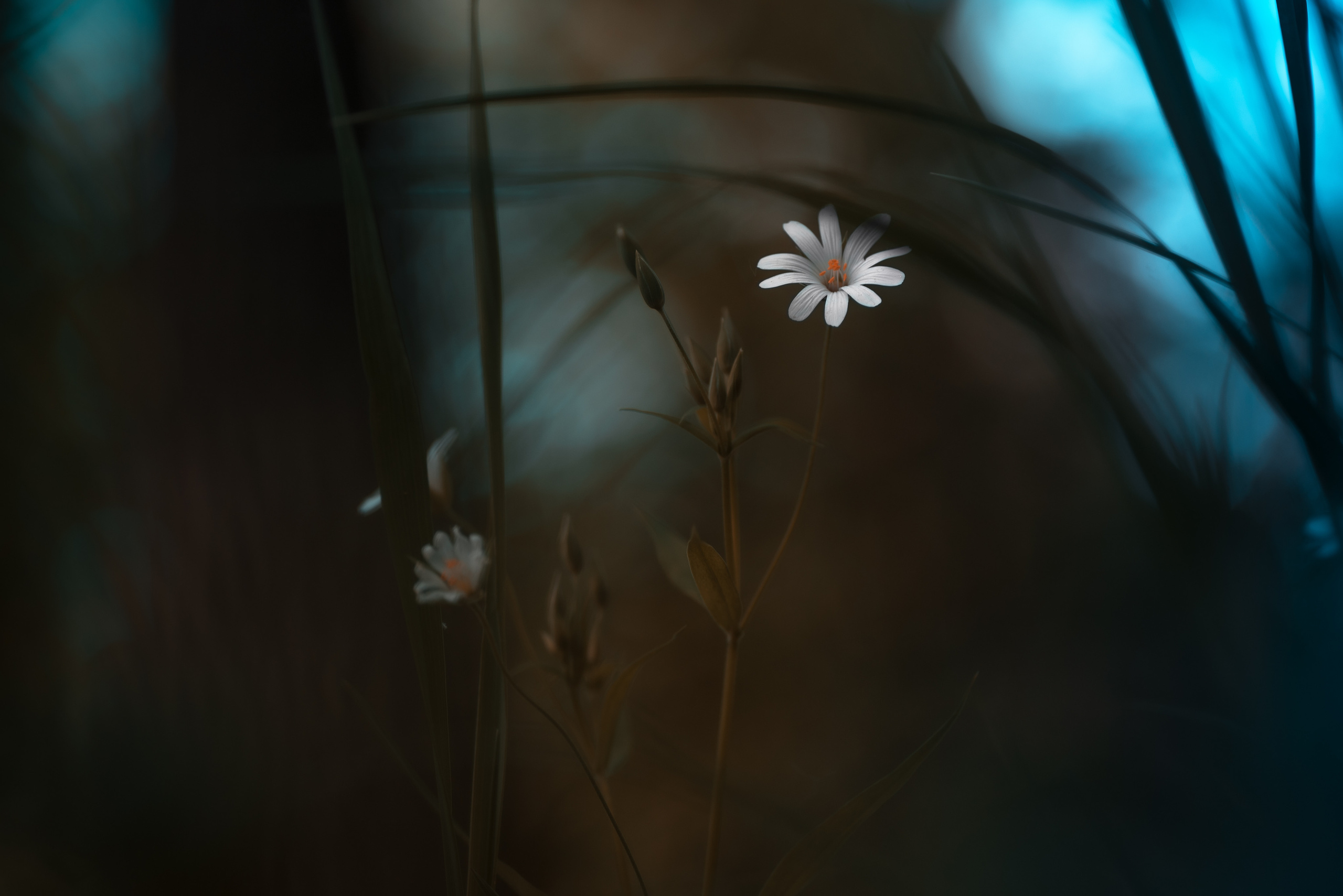 Природа. Фотограф Таинства Крещения в Саратове Ильченко Артем