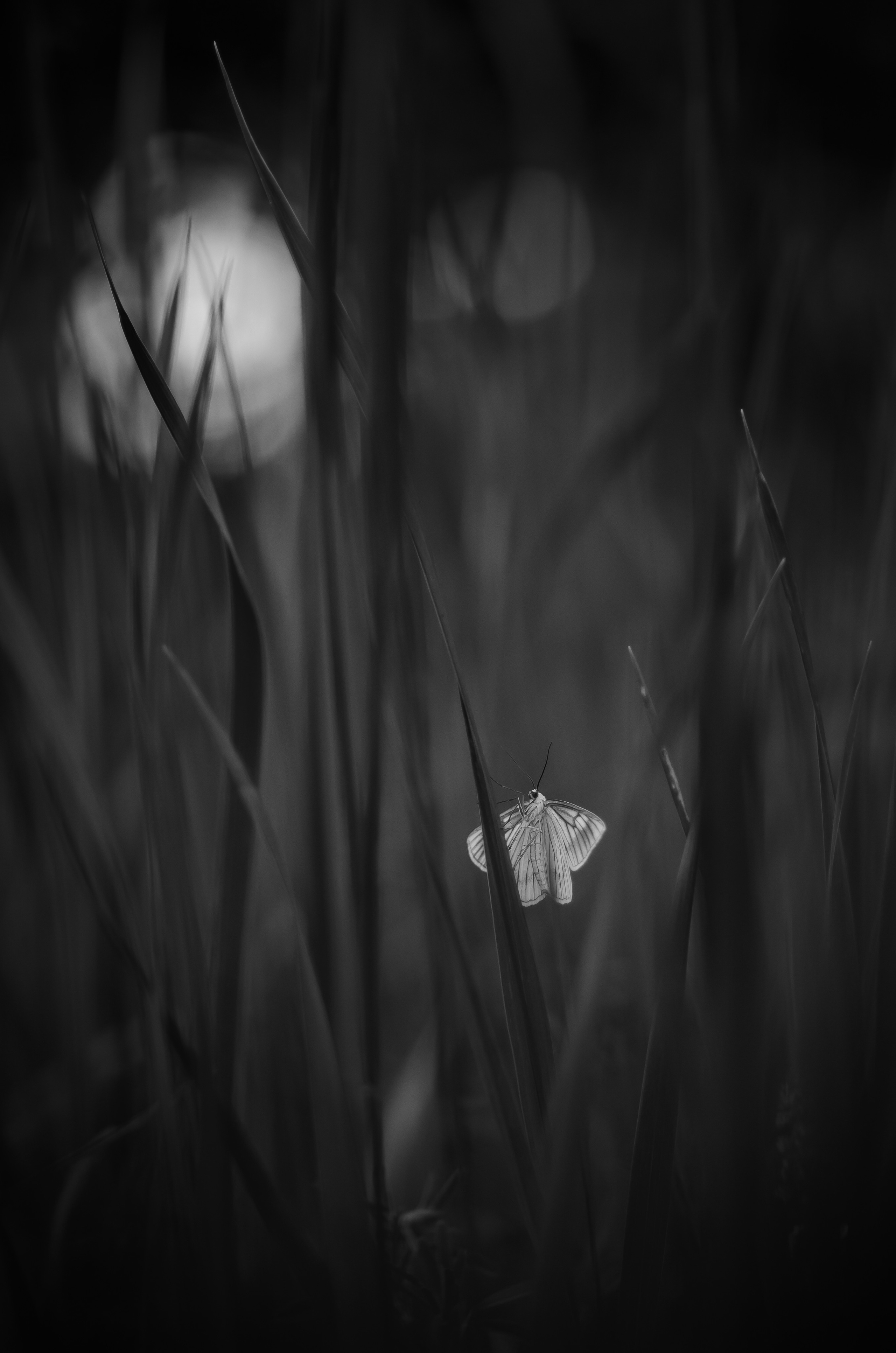 Природа. Фотограф Таинства Крещения в Саратове Ильченко Артем