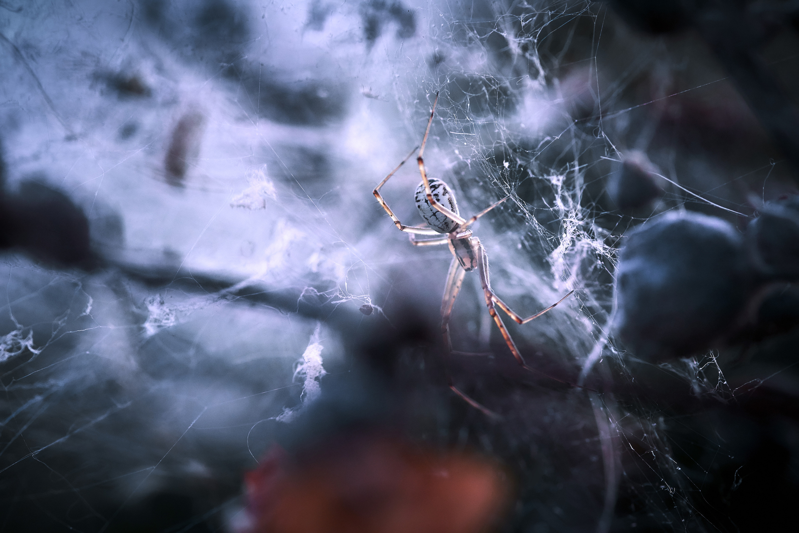 Природа. Фотограф Таинства Крещения в Саратове Ильченко Артем