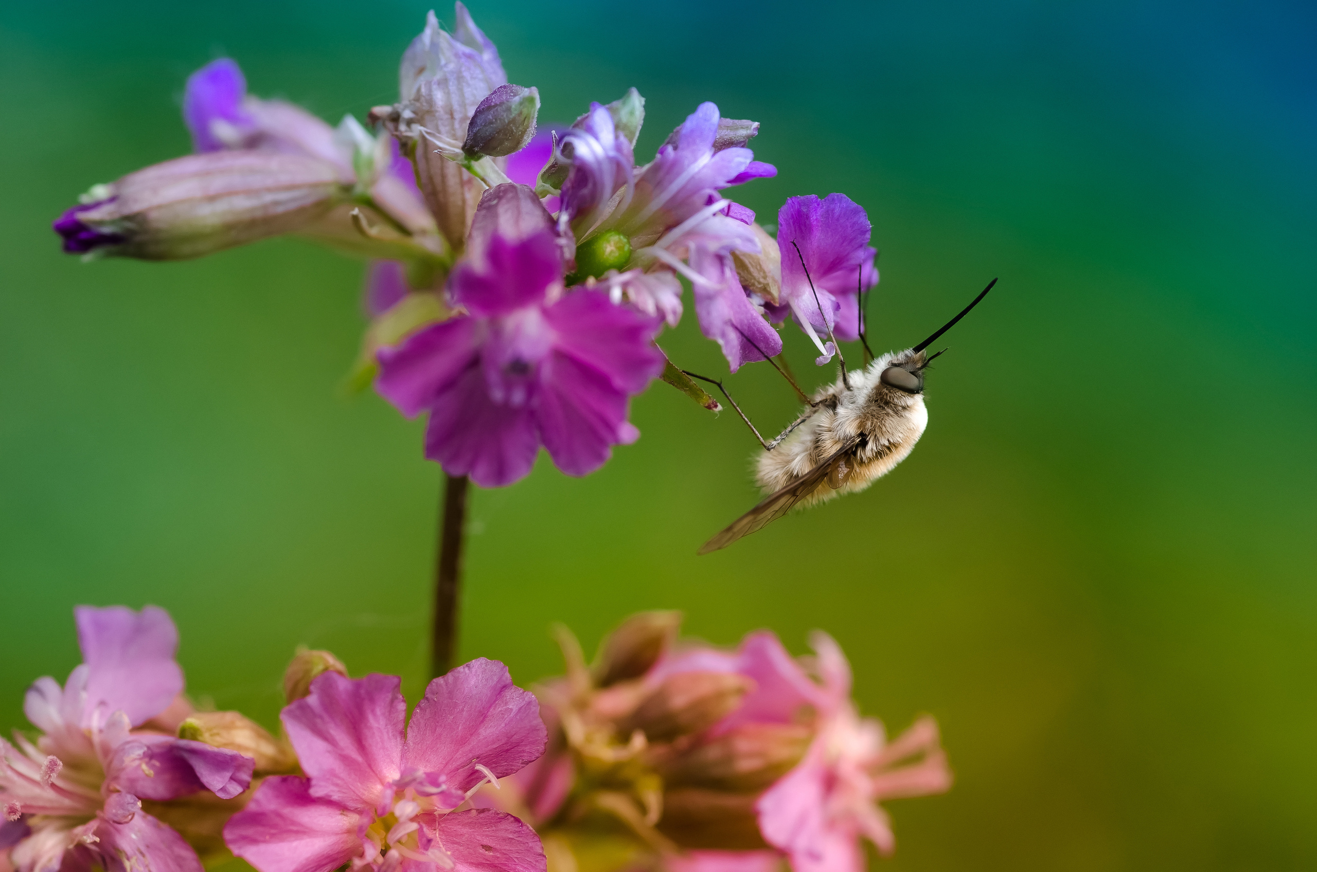 Природа. Фотограф Таинства Крещения в Саратове Ильченко Артем