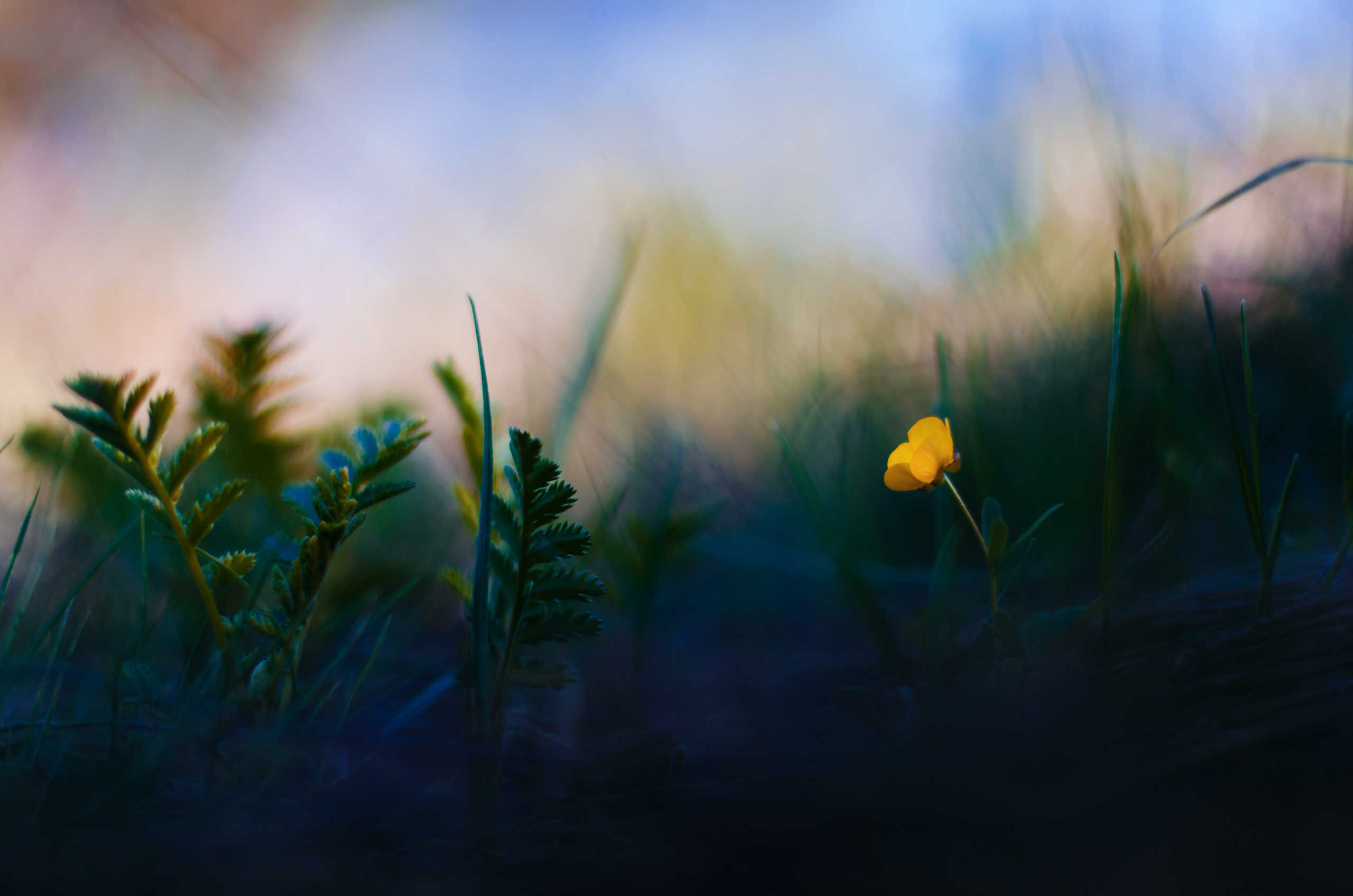 Природа. Фотограф Таинства Крещения в Саратове Ильченко Артем