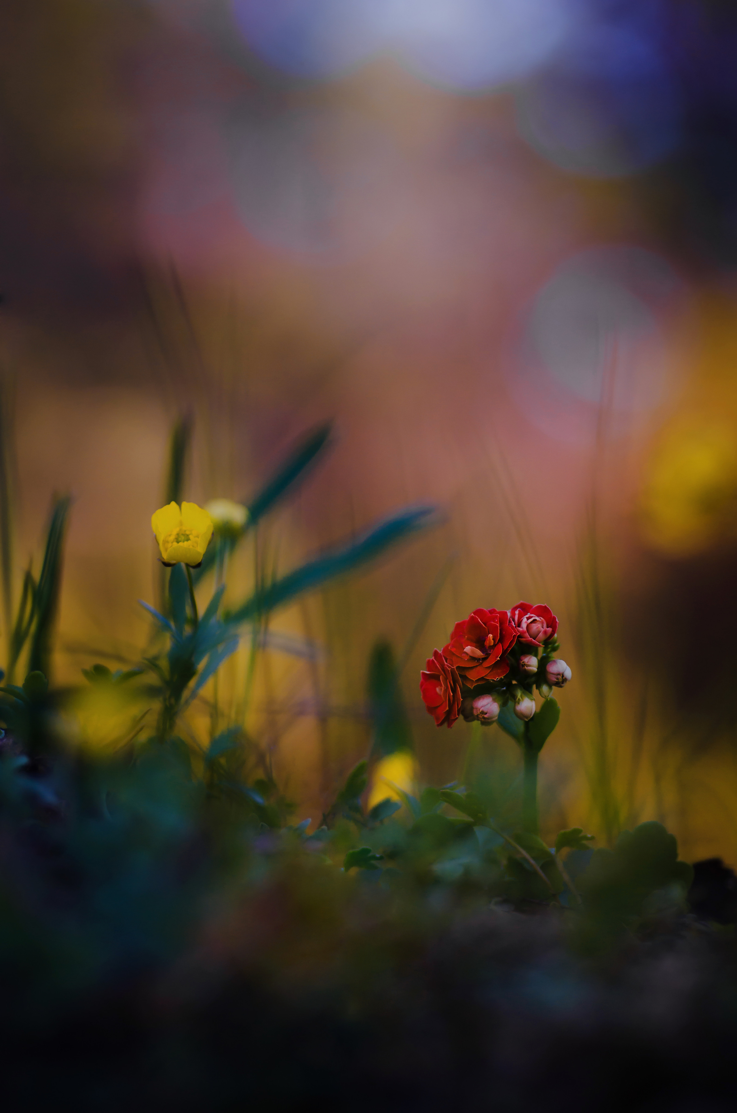 Природа. Фотограф Таинства Крещения в Саратове Ильченко Артем