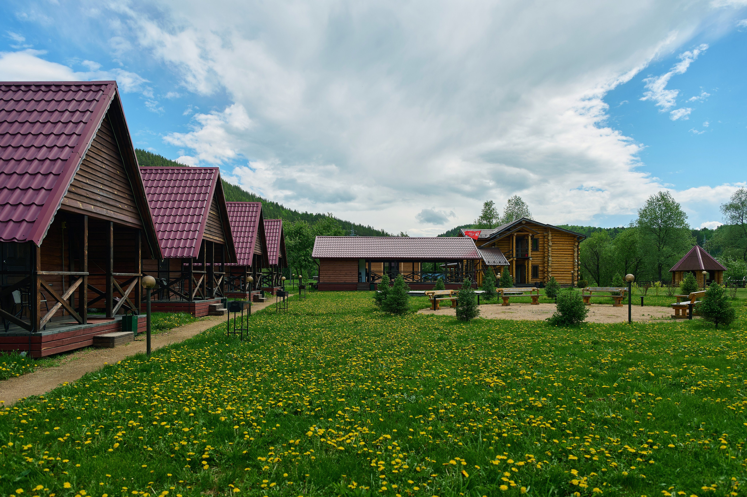 Кедровый берег. Фотограф Опыт Качество Скорость Горный Алтай Барнаул