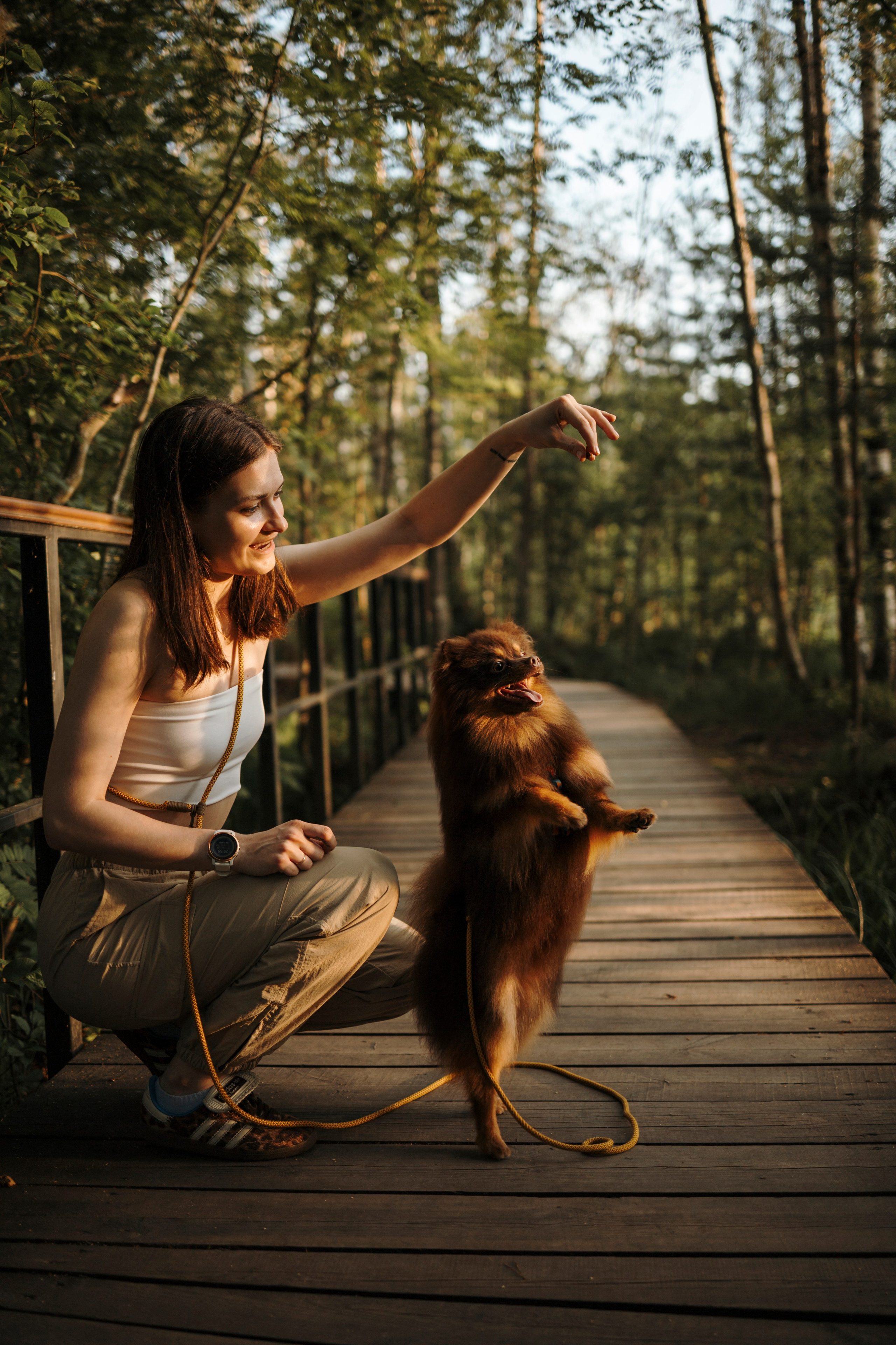 Сапфир и его семья. Фотограф-анималист в Санкт-Петеребурге Титова Алиса