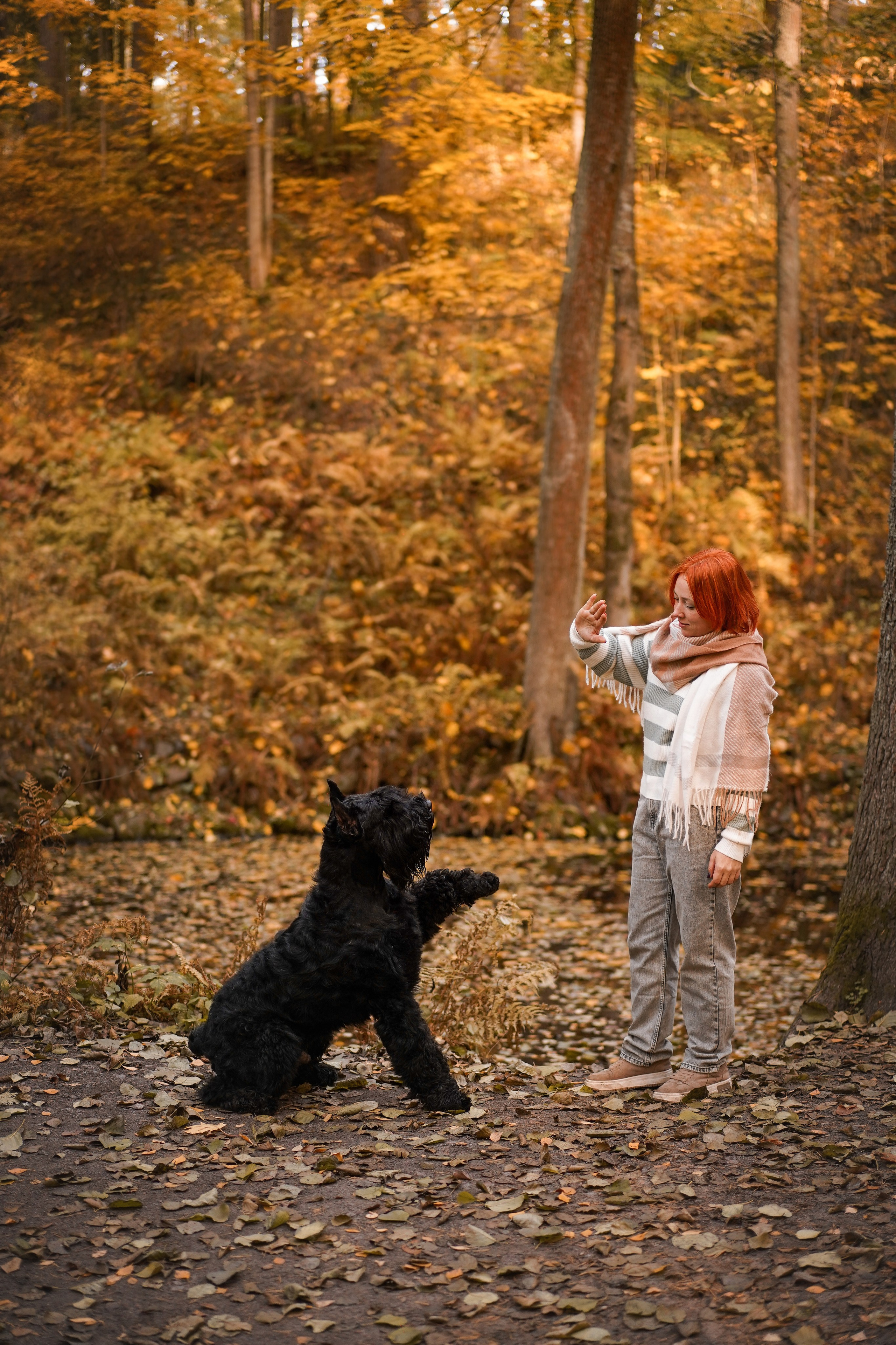 Оля Миша и шнауцеры. Фотограф-анималист в Санкт-Петербурге Яна Мартынова
