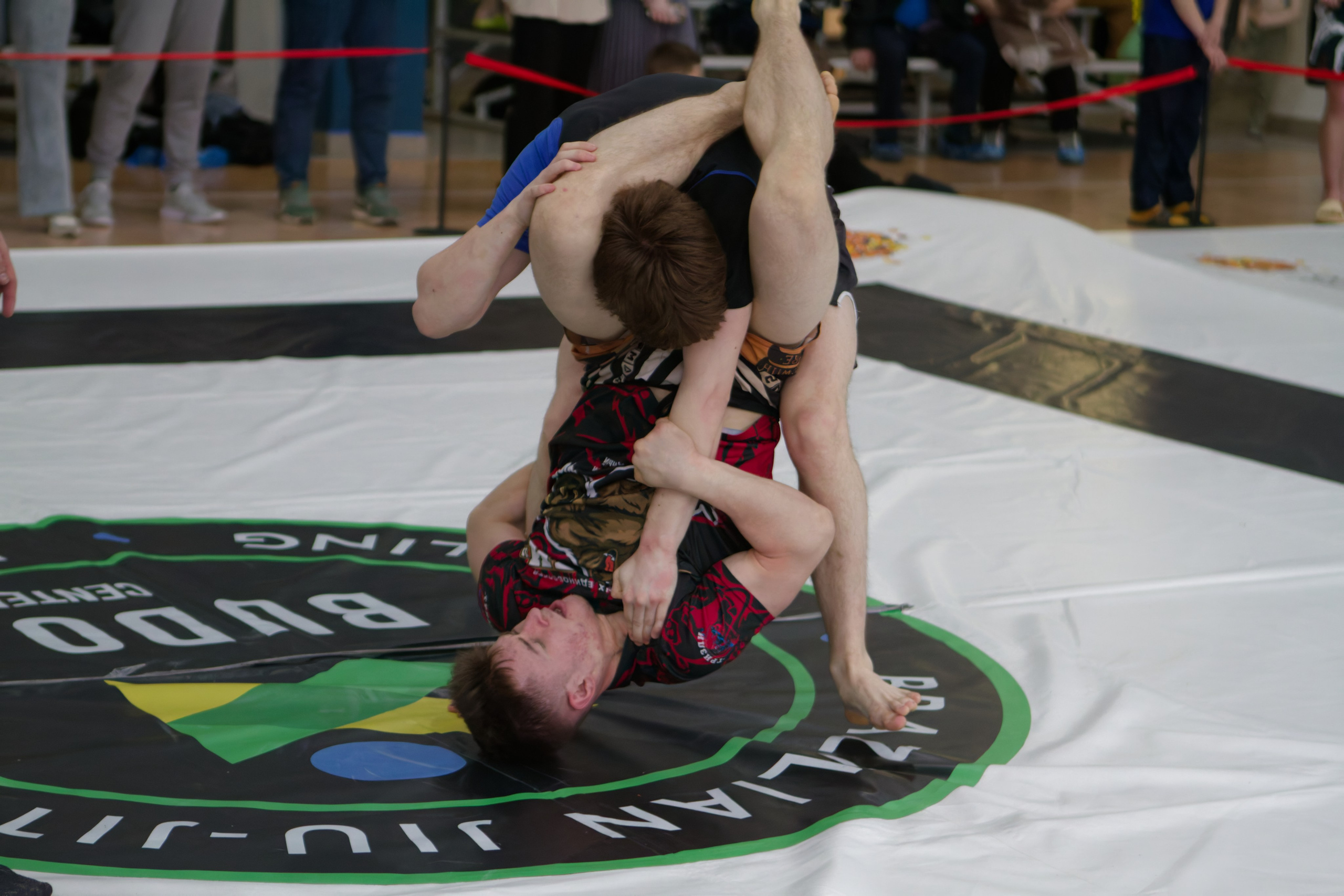 Борьба. Джиу-джитсу 26.04.2025. Репортажный и спортивный фотограф в г. Пермь Зильберг Павел