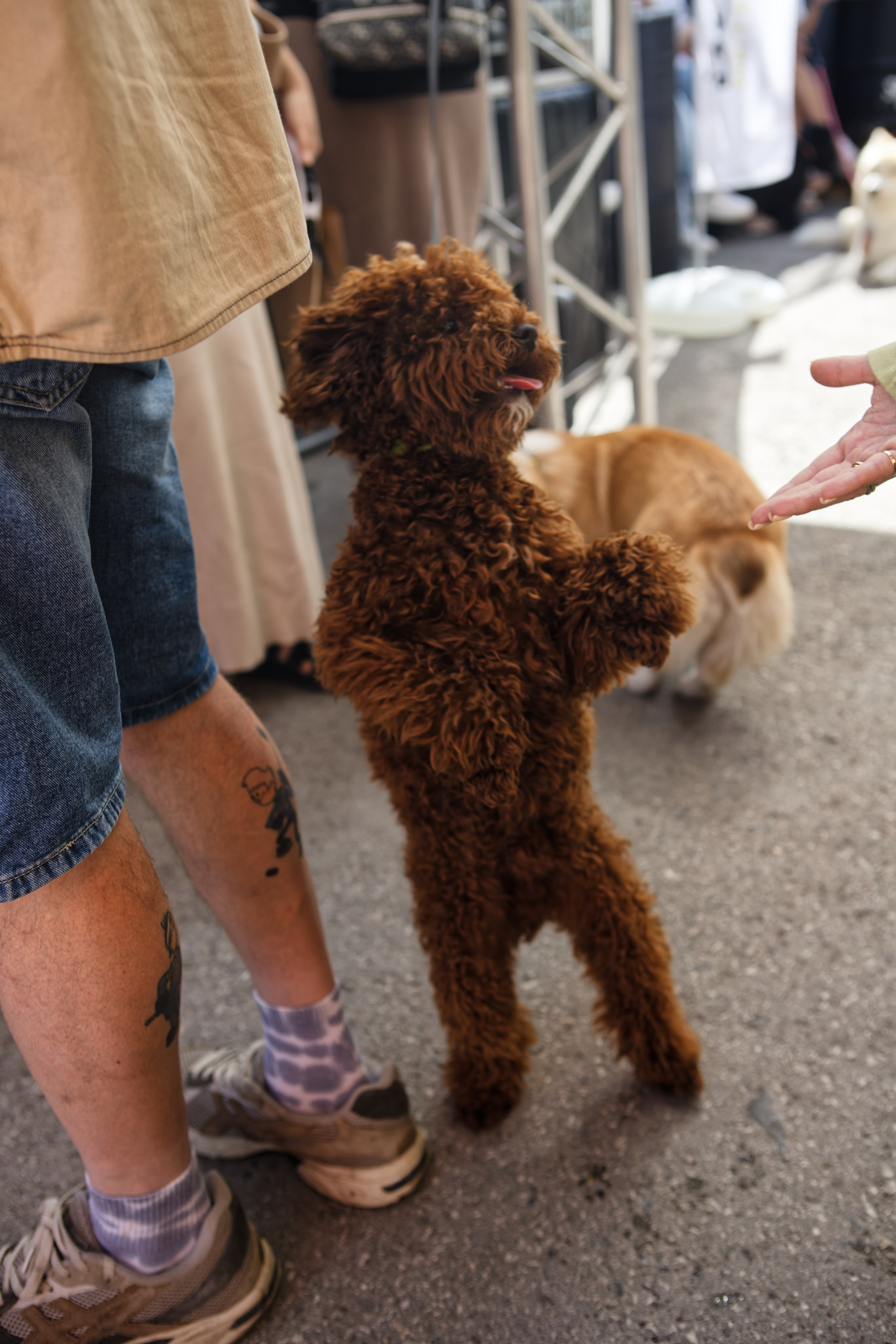 Мир животных. Репортажный и спортивный фотограф в г. Пермь Зильберг Павел