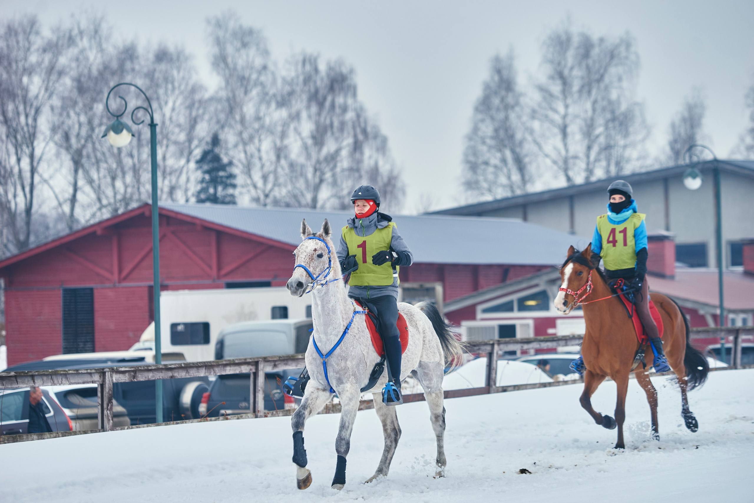 HORSE RACING. Фотограф Наталья Леонова