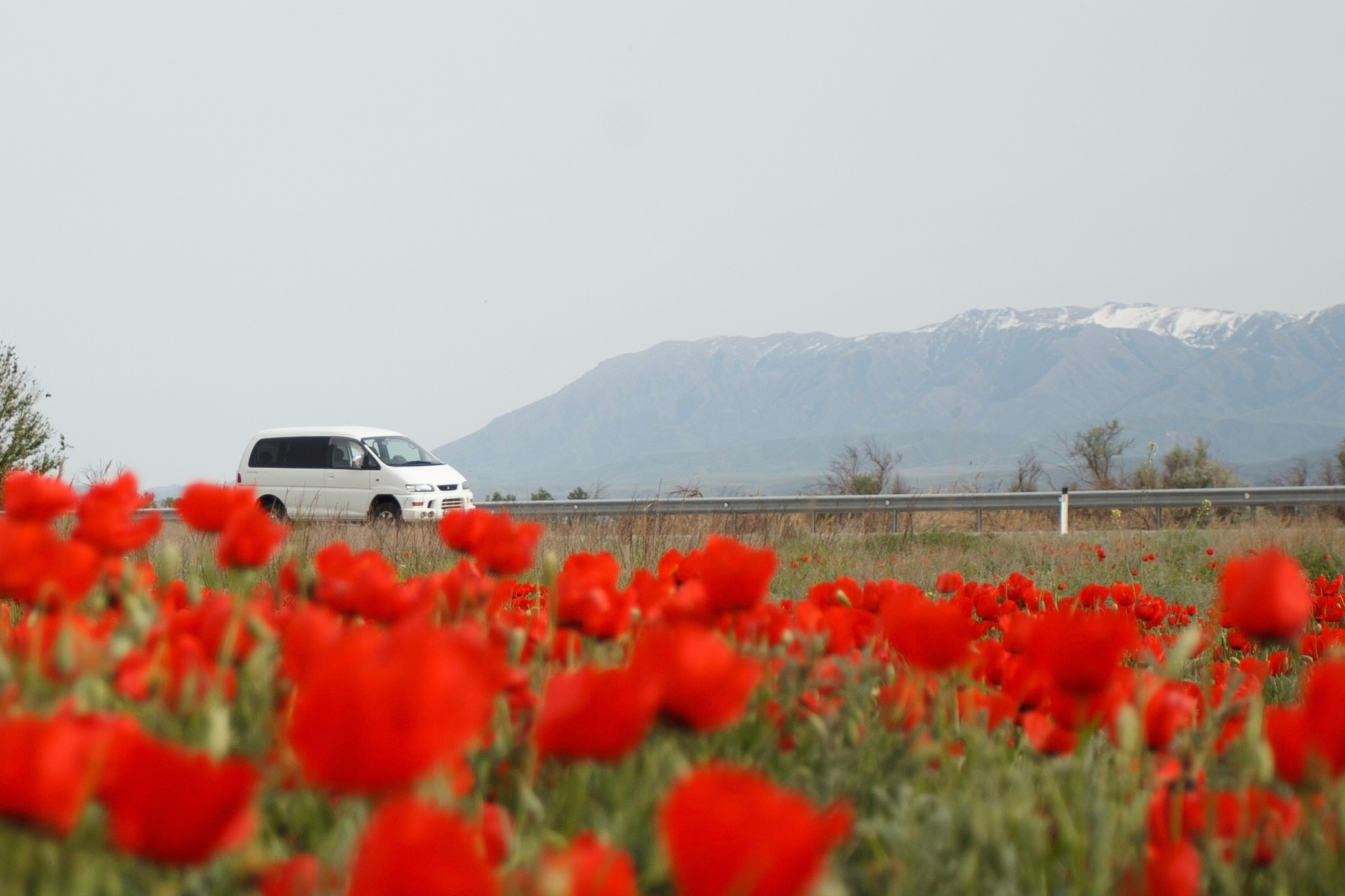 Весна. Экскурсии и туры по Алматы