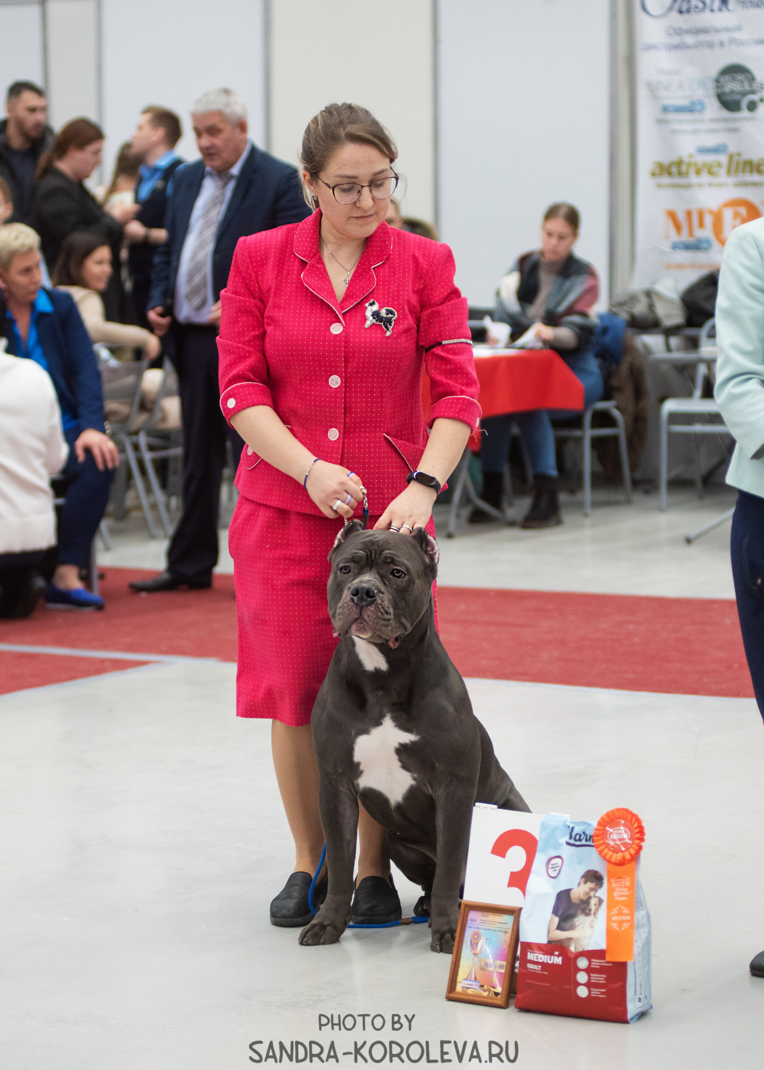Выставка собак тюмень 10.12.2022. Дог-фотограф в Тюмени Александра Королева