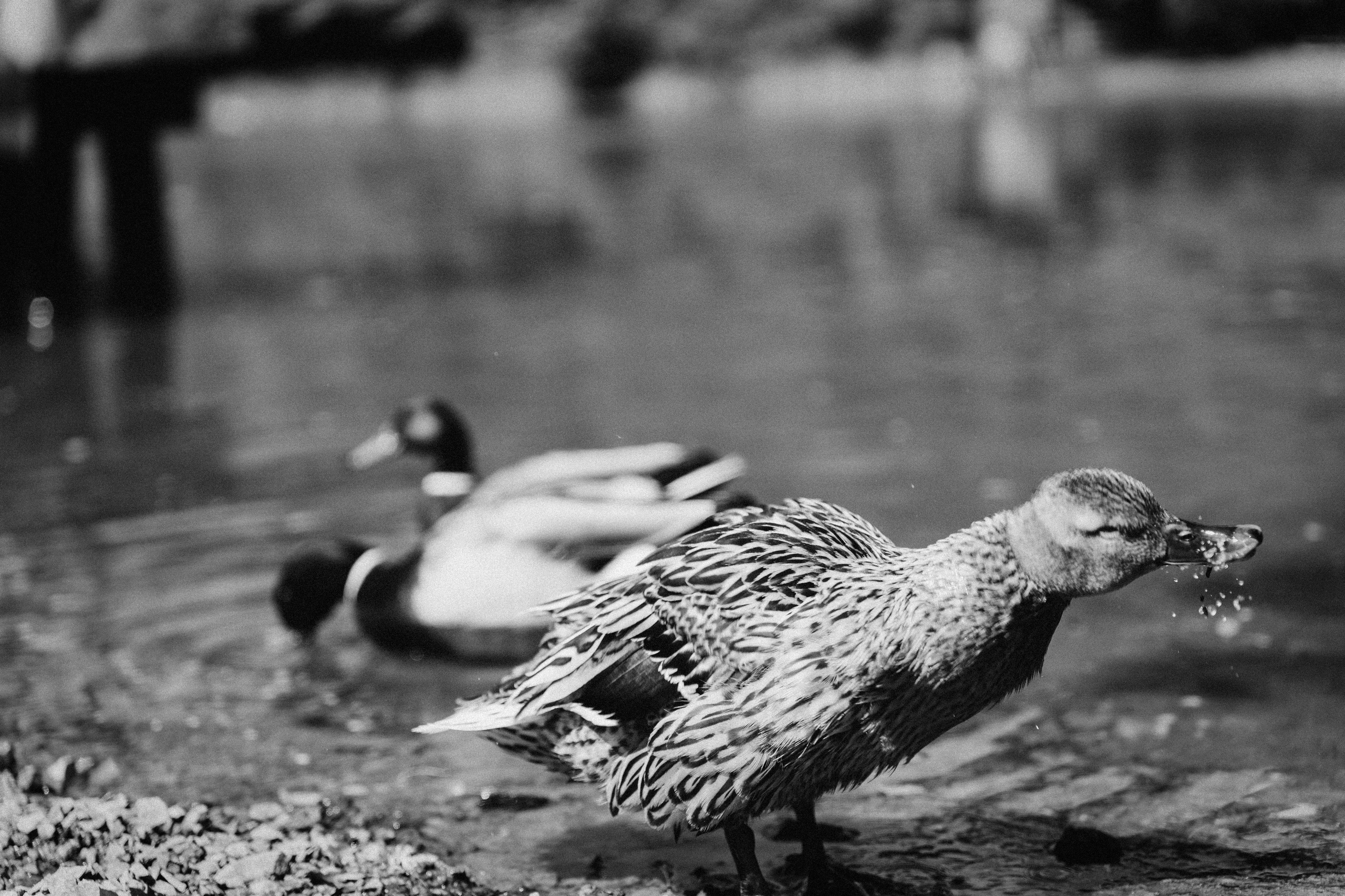 14. Фотограф Батуми | Ксения Кинасова