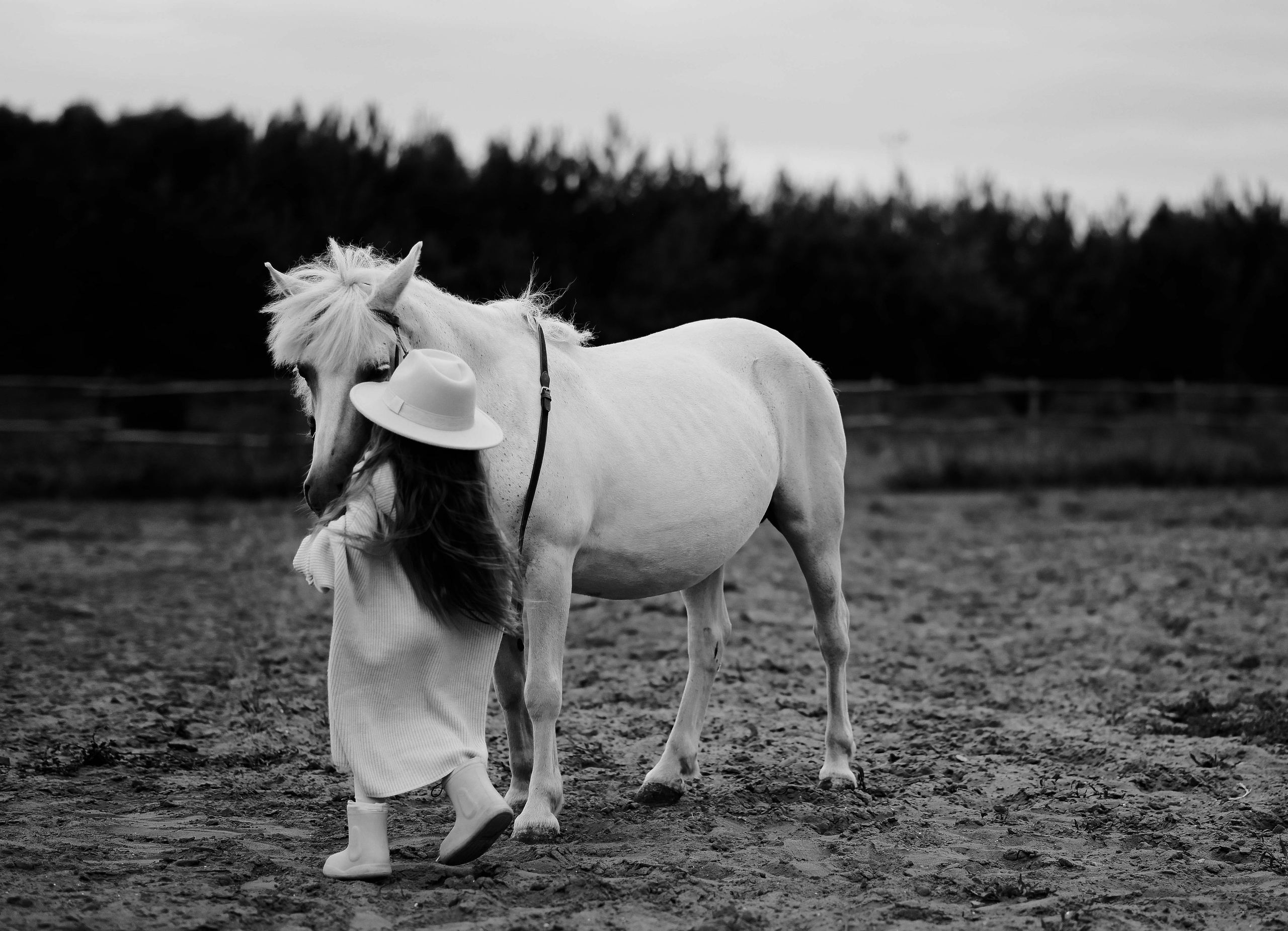 София. Фотограф Казань