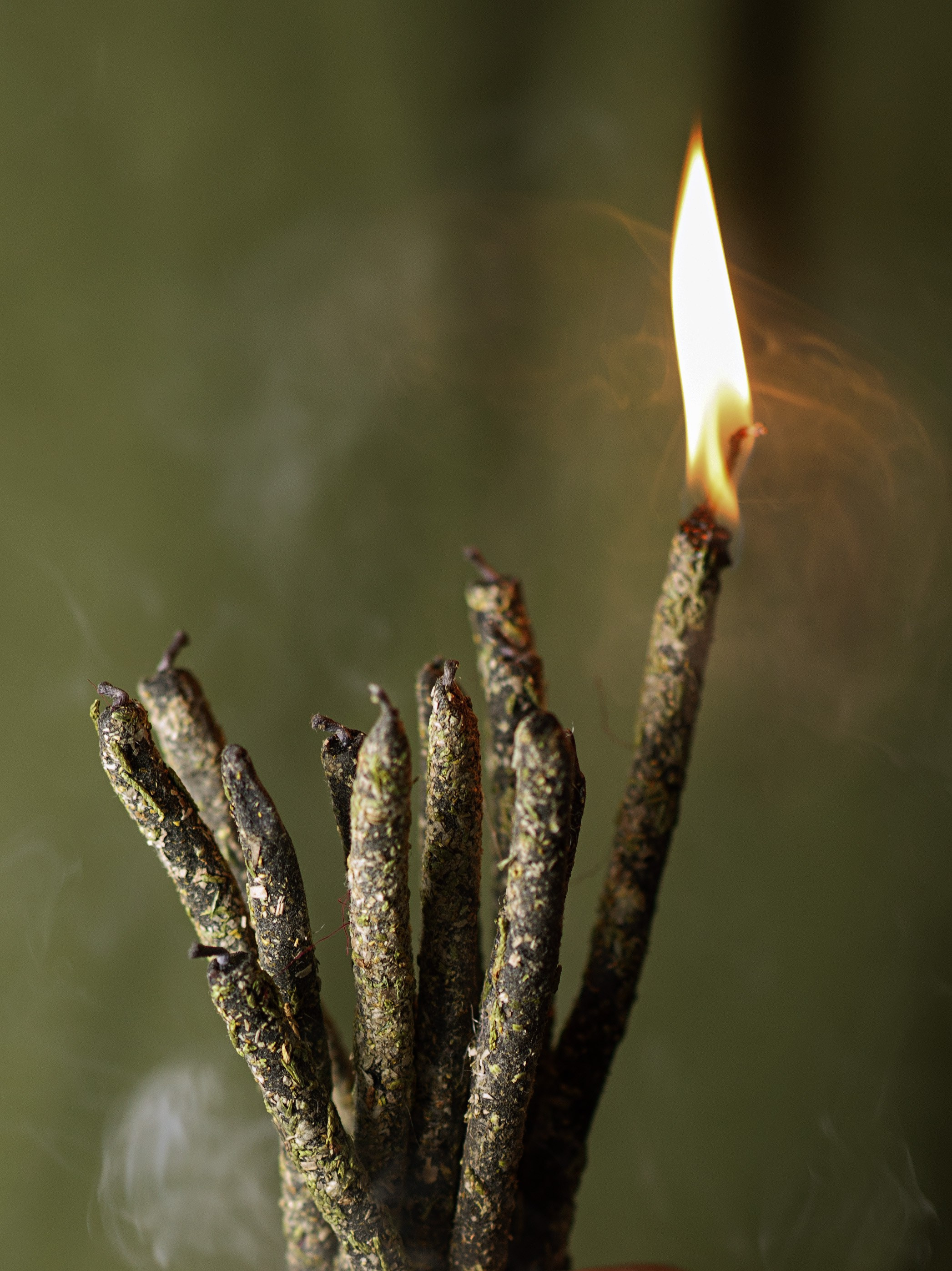 КонтентPRO. Проект «Монохром»