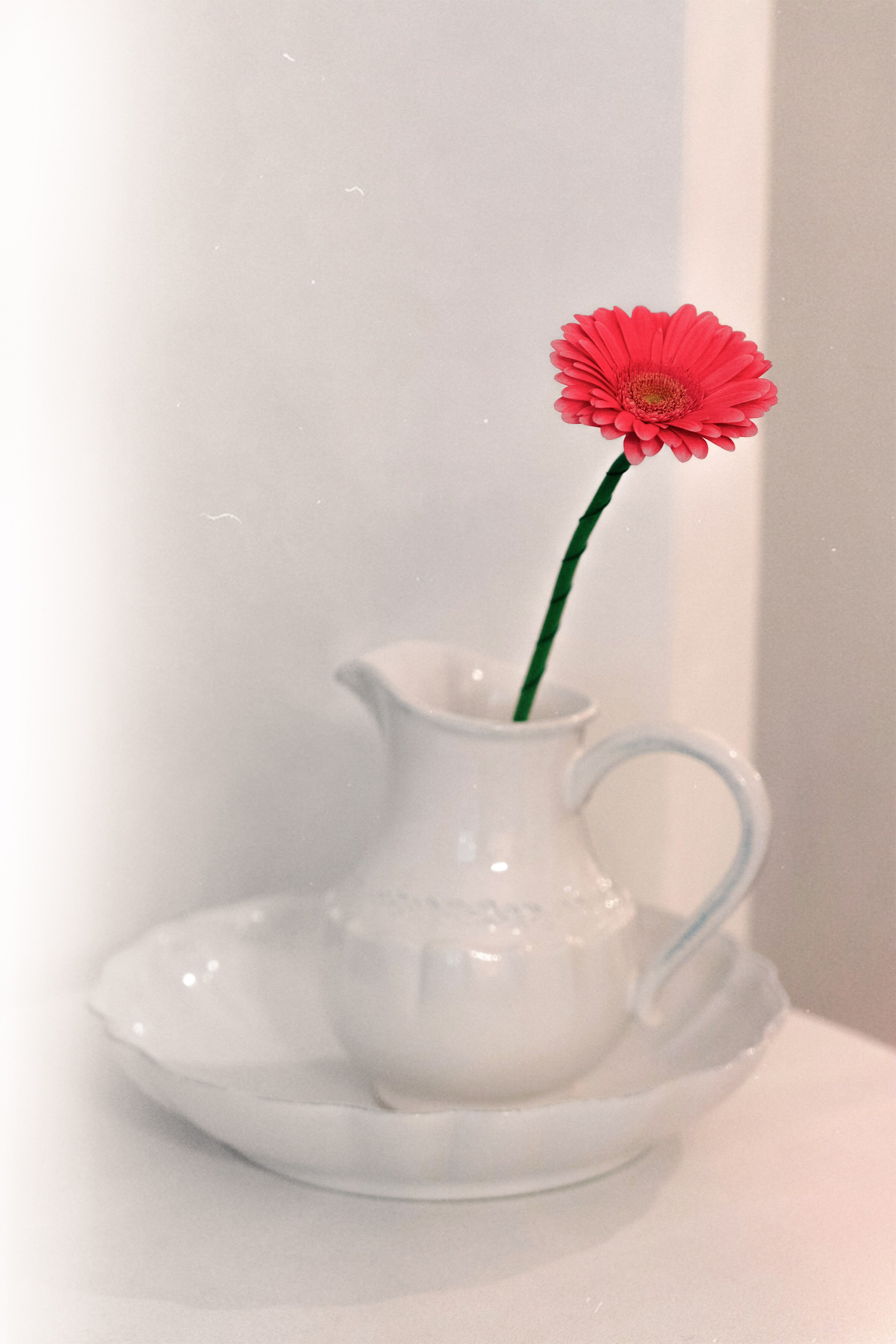 Шахматная комната. Плак или Квак