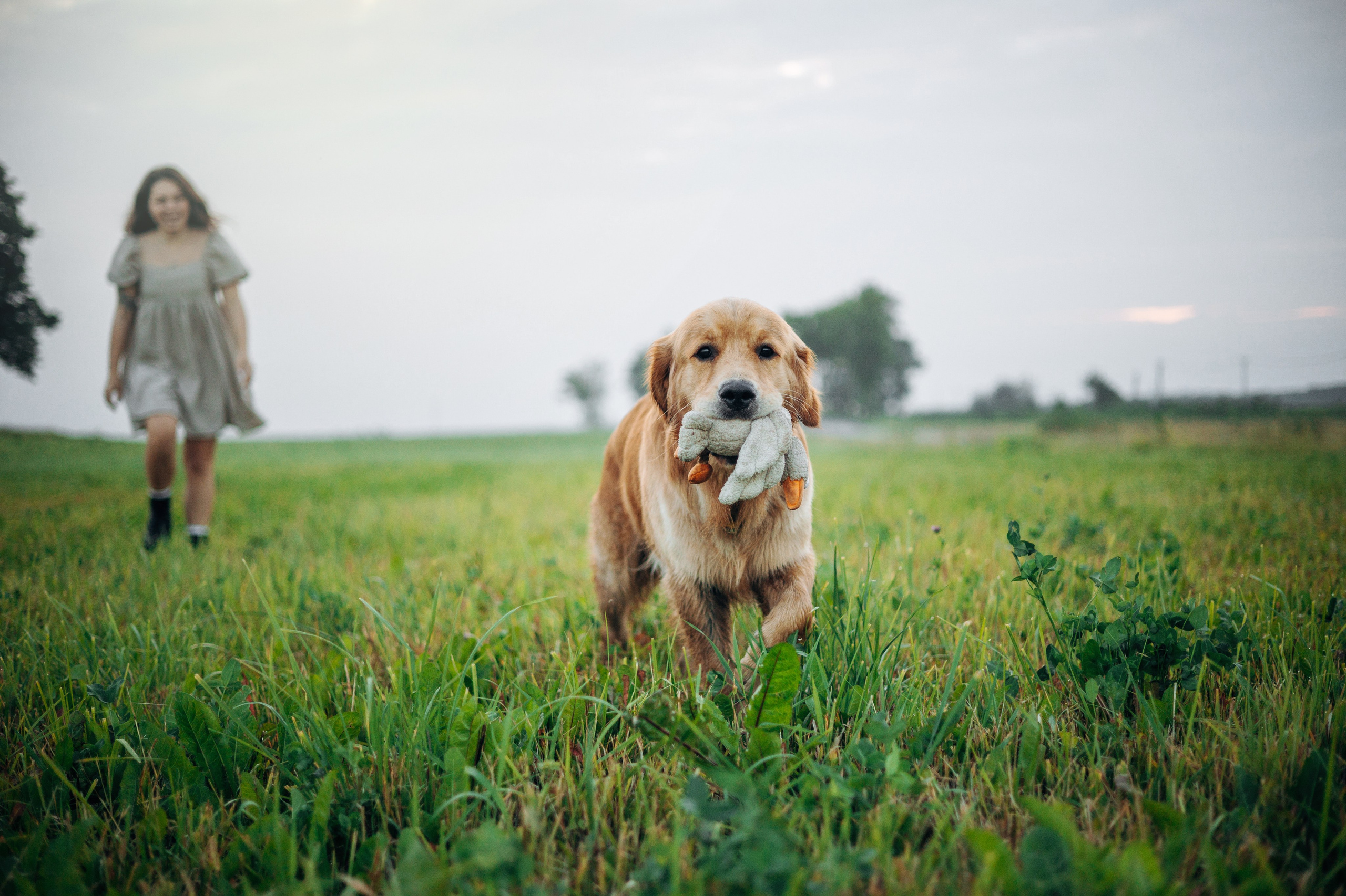 Аня и Ноллан. Фотограф — Анималист | Санкт-Петербург