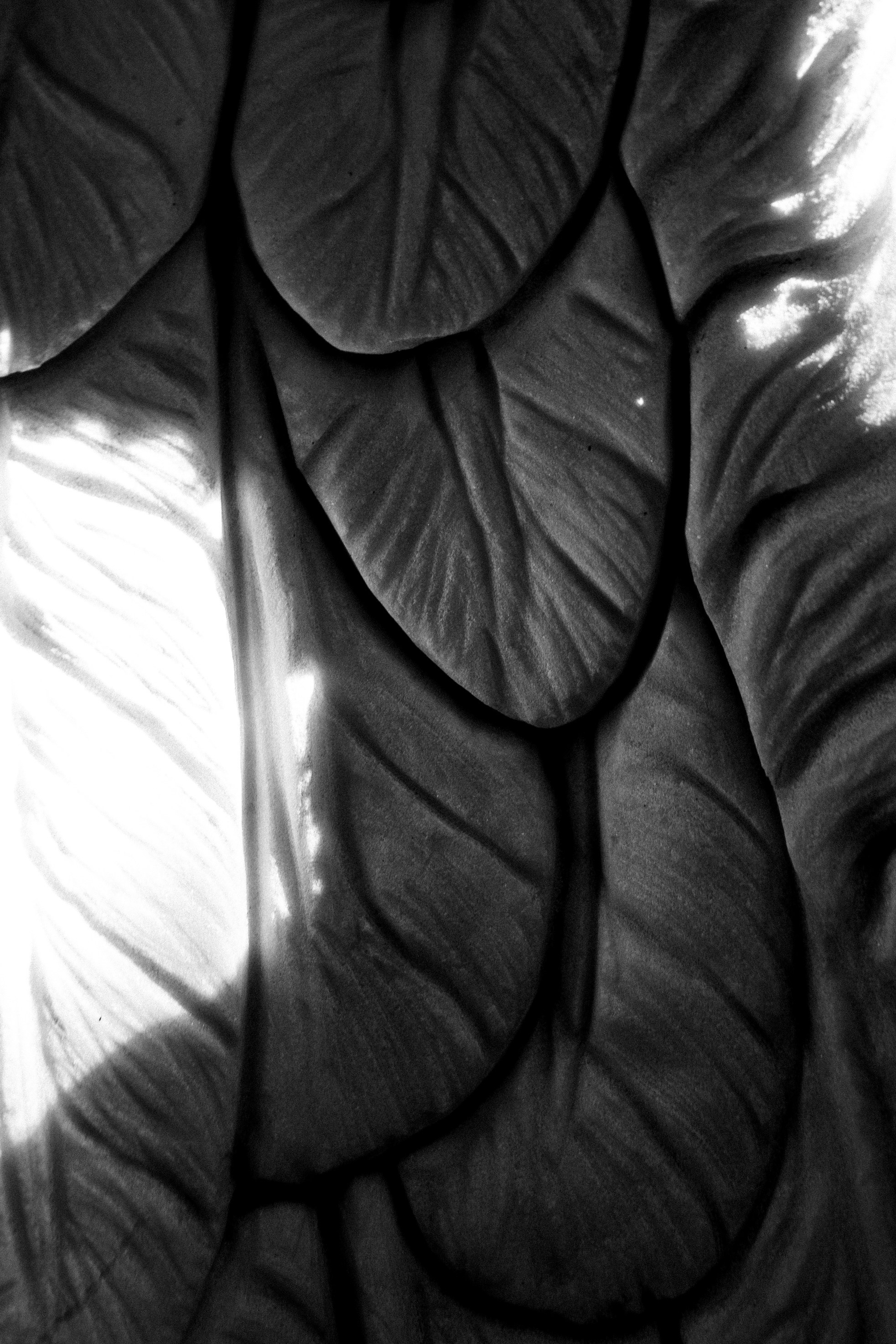 WOMEN. Фотограф Юлия Курочкина