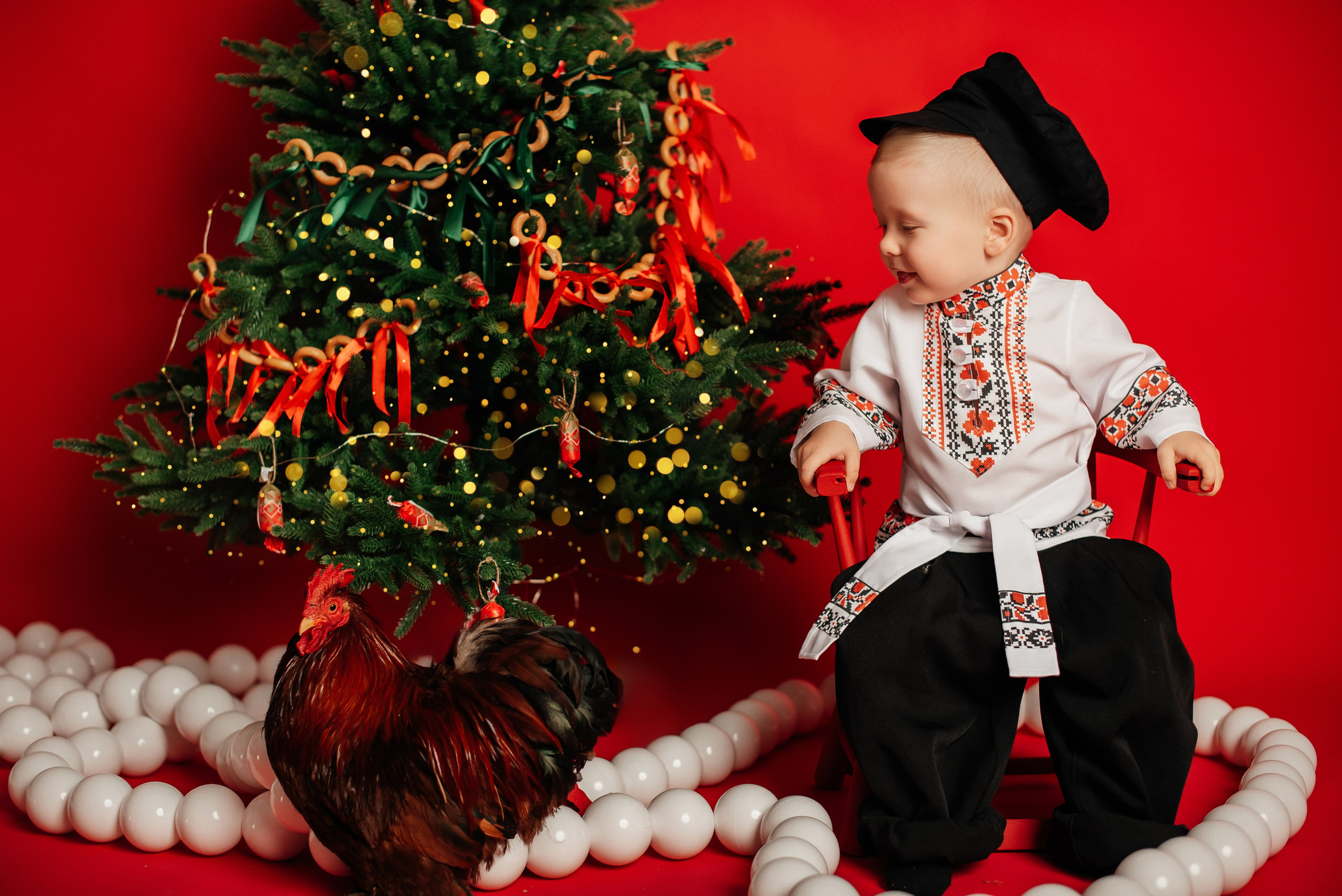 Новый год. Фотограф новорожденных и беременности Сергиев Посад Усачева Ирина