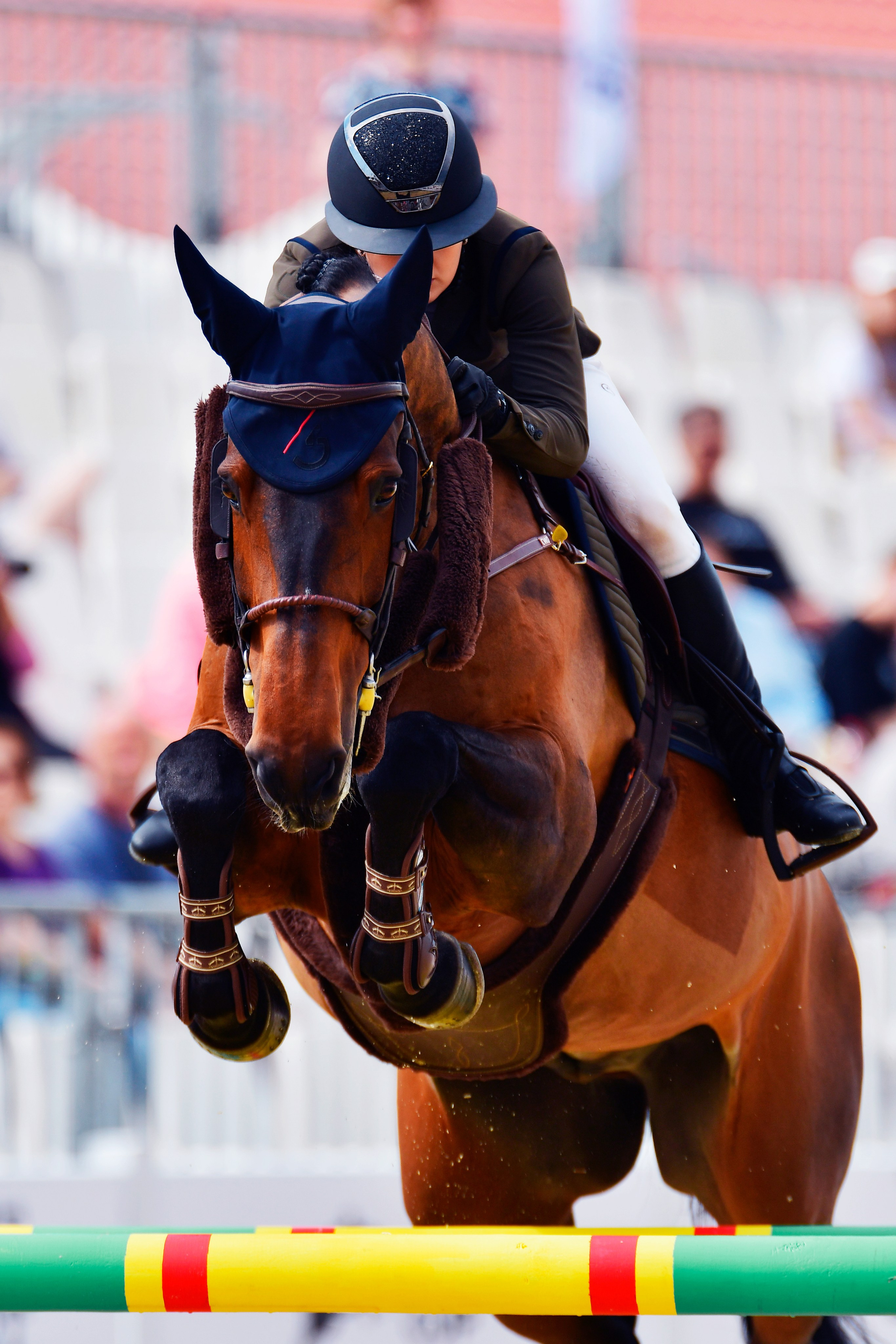 Репортаж Bitriver. Конный фотограф Alesya Safe