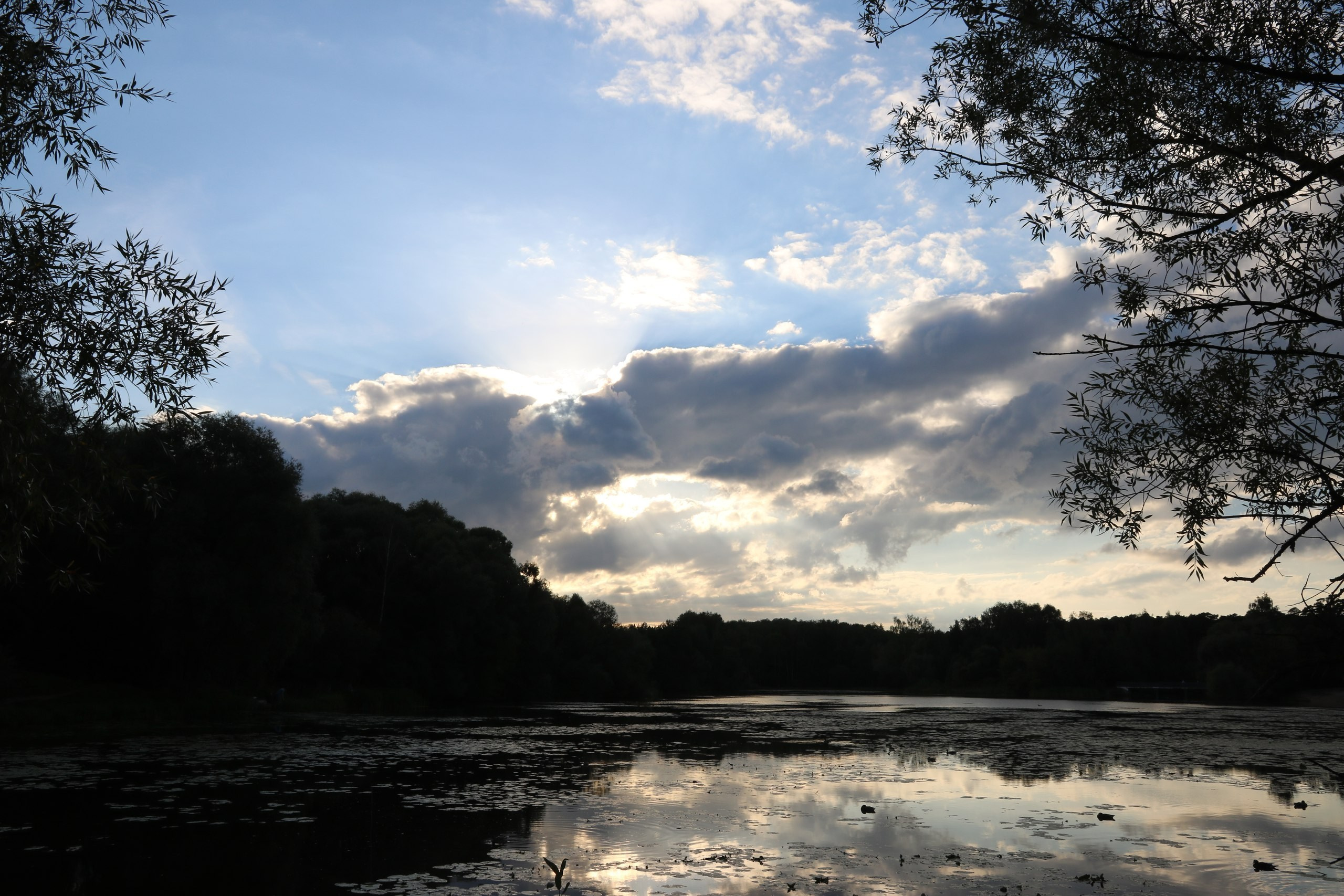 Шашлыки «День в Хогвардсе» | 03.09.2016. Галерея Фантим