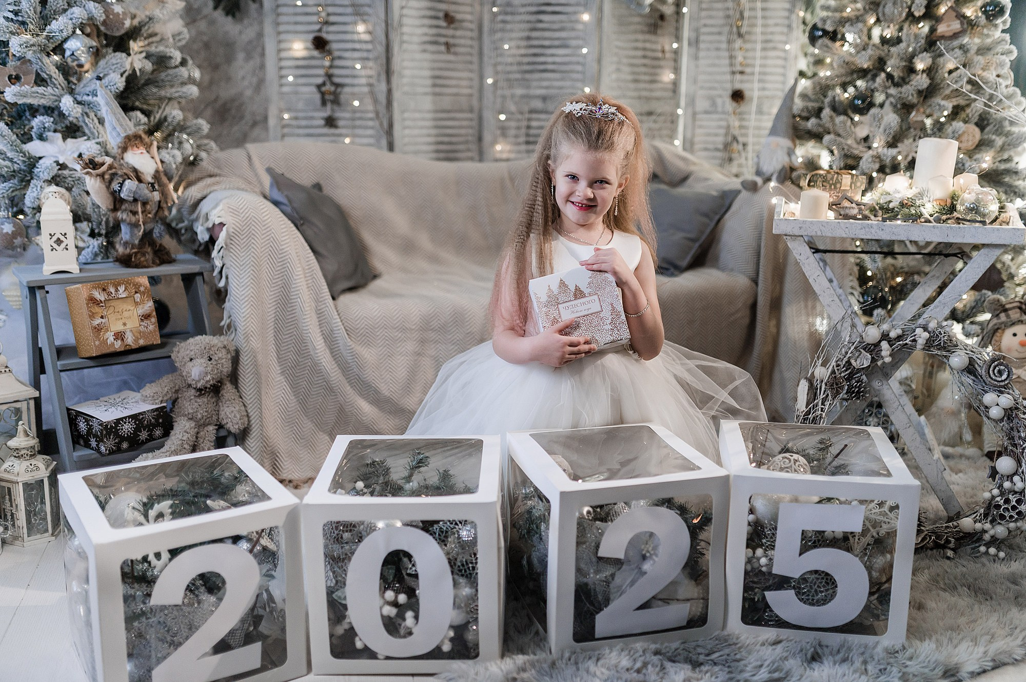 новый 2025 год 