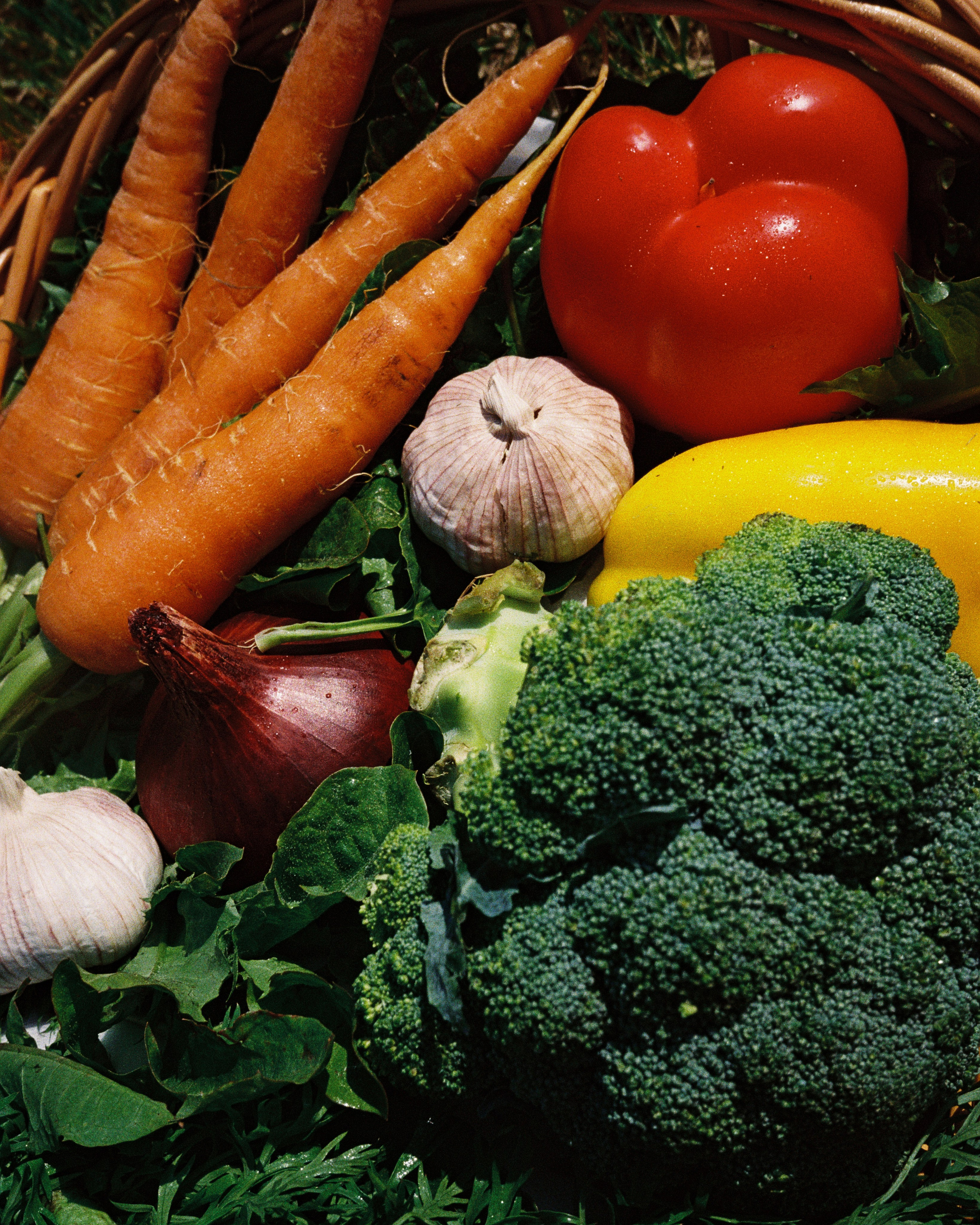 Съемка на пленку. Фотограф Ирина Харламова