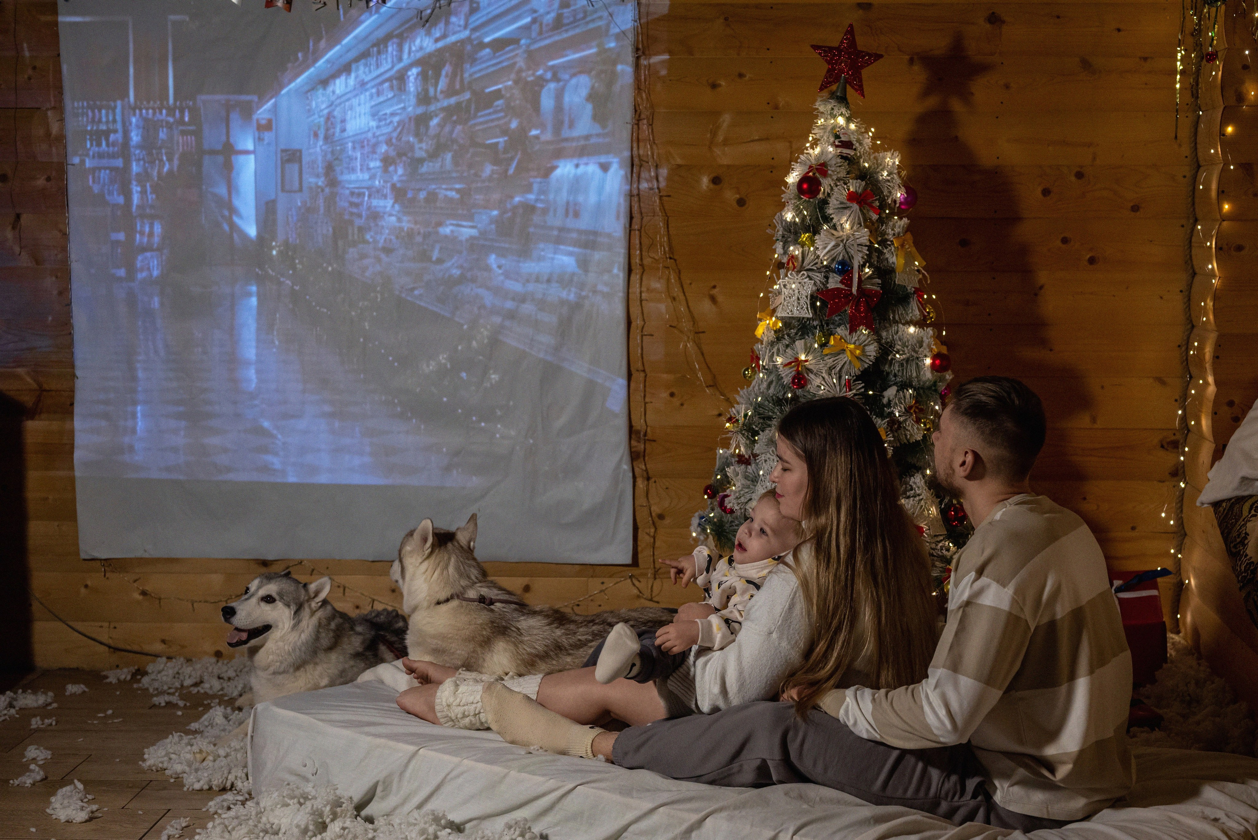 Фотопроект с хаски 2024 г. Фотограф в городе Салават