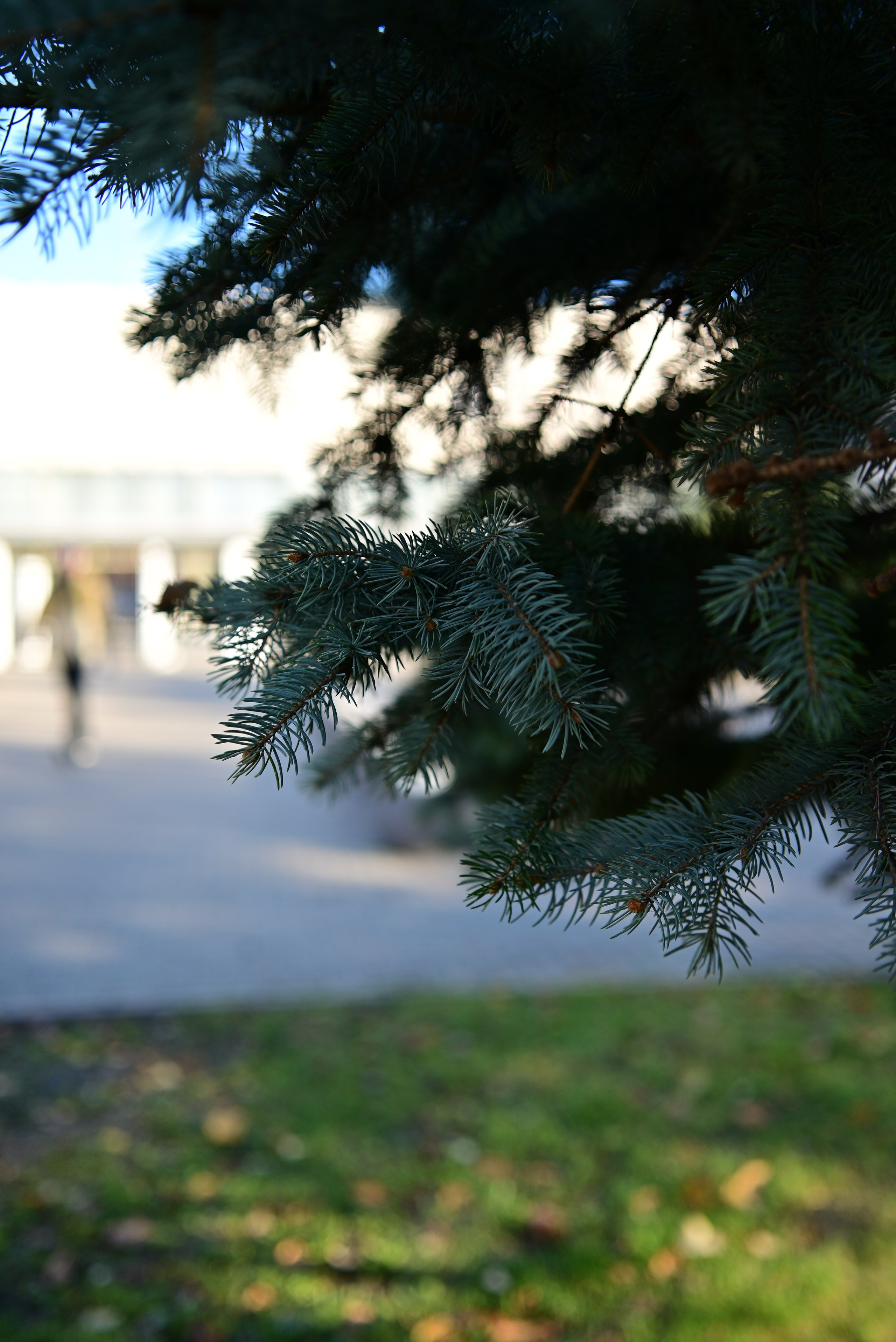 Осень в Самаре 2025. Фотосъёмка праздничных мероприятий, портретная съёмка в Самаре, Пётр Бубняев