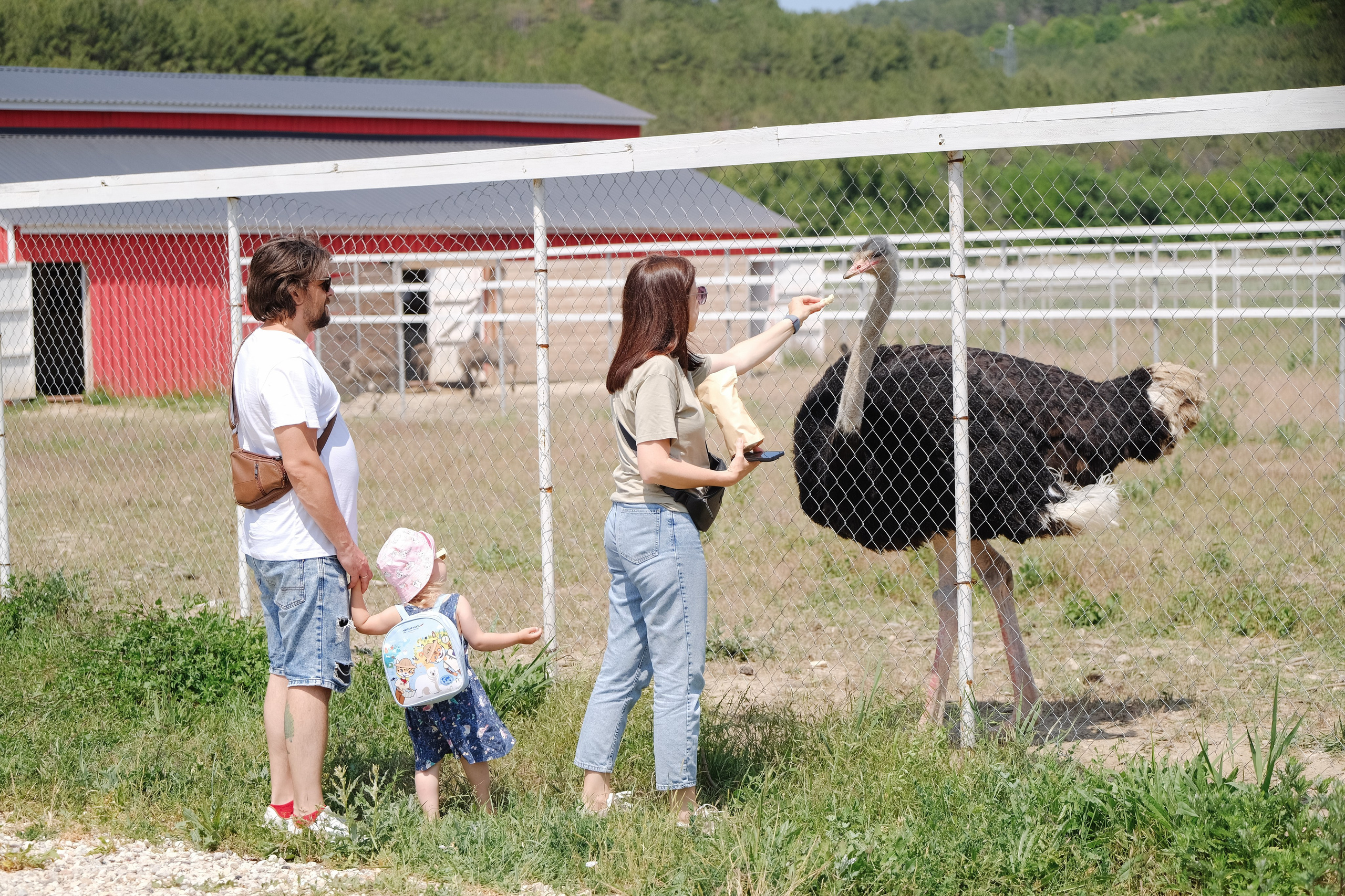 Репортаж на ферме. Профессиональная фотосъемка в Крыму. Натуральные эмоции и живые кадры. Забронируйте дату прямо сейчас!