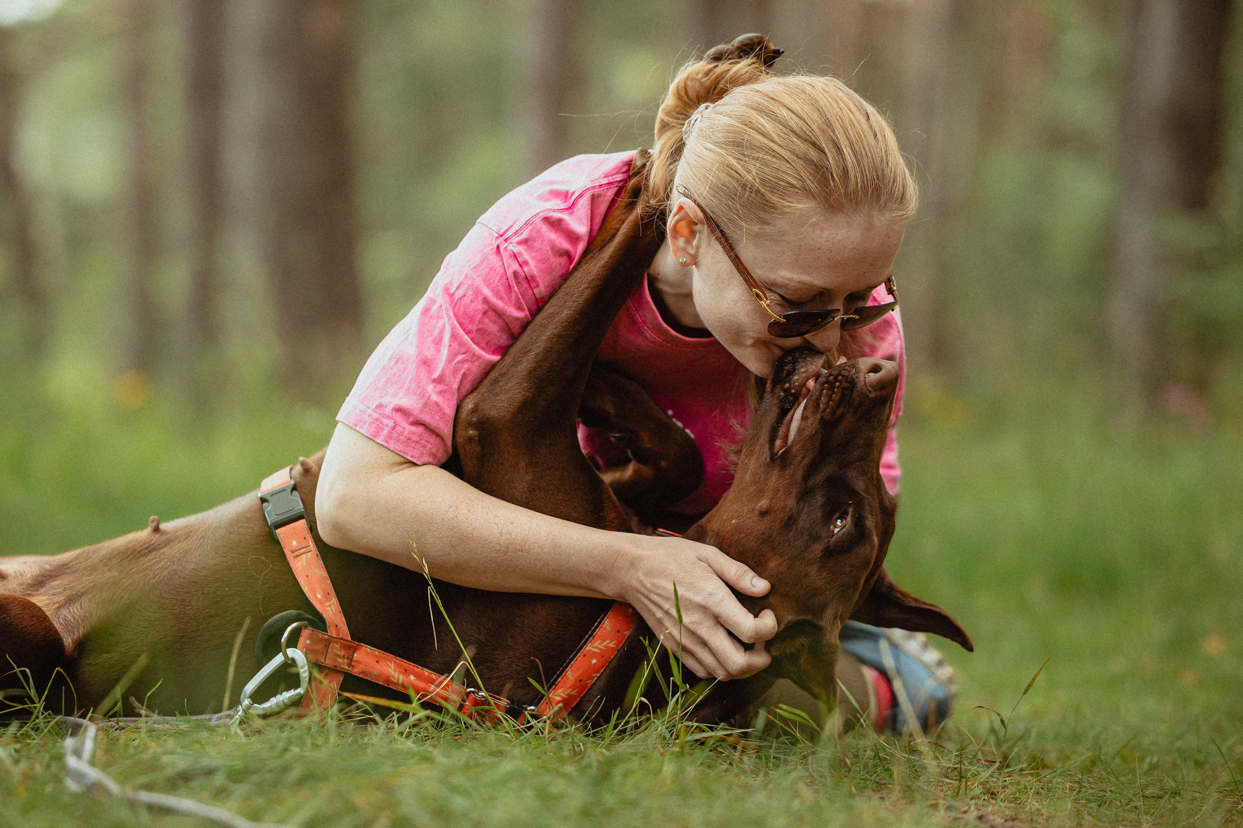 Выездной дог-тренинг от школы «Шерсть имею»