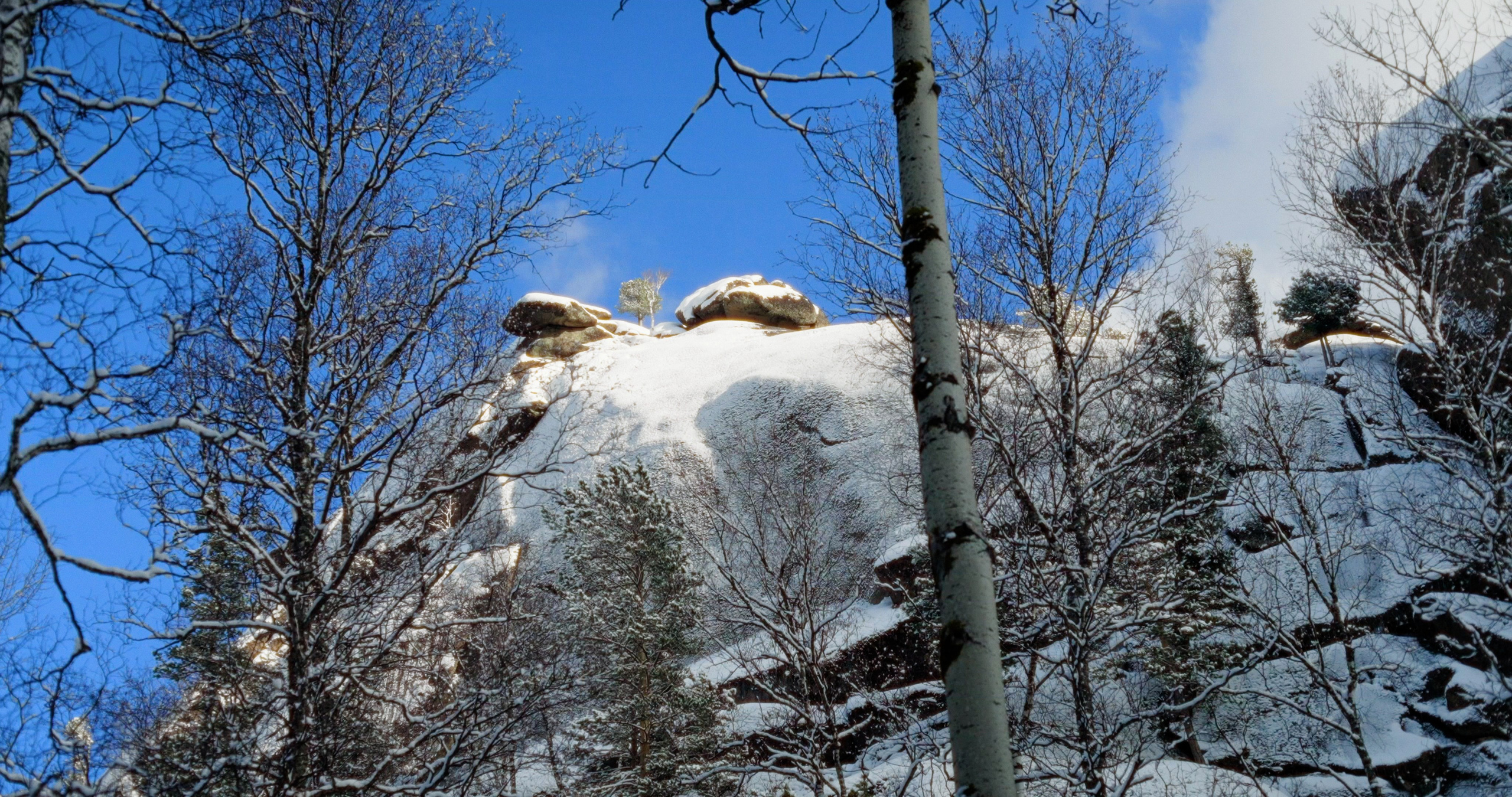 Крепче камня. Василий Буйлов|Vasilii Builov