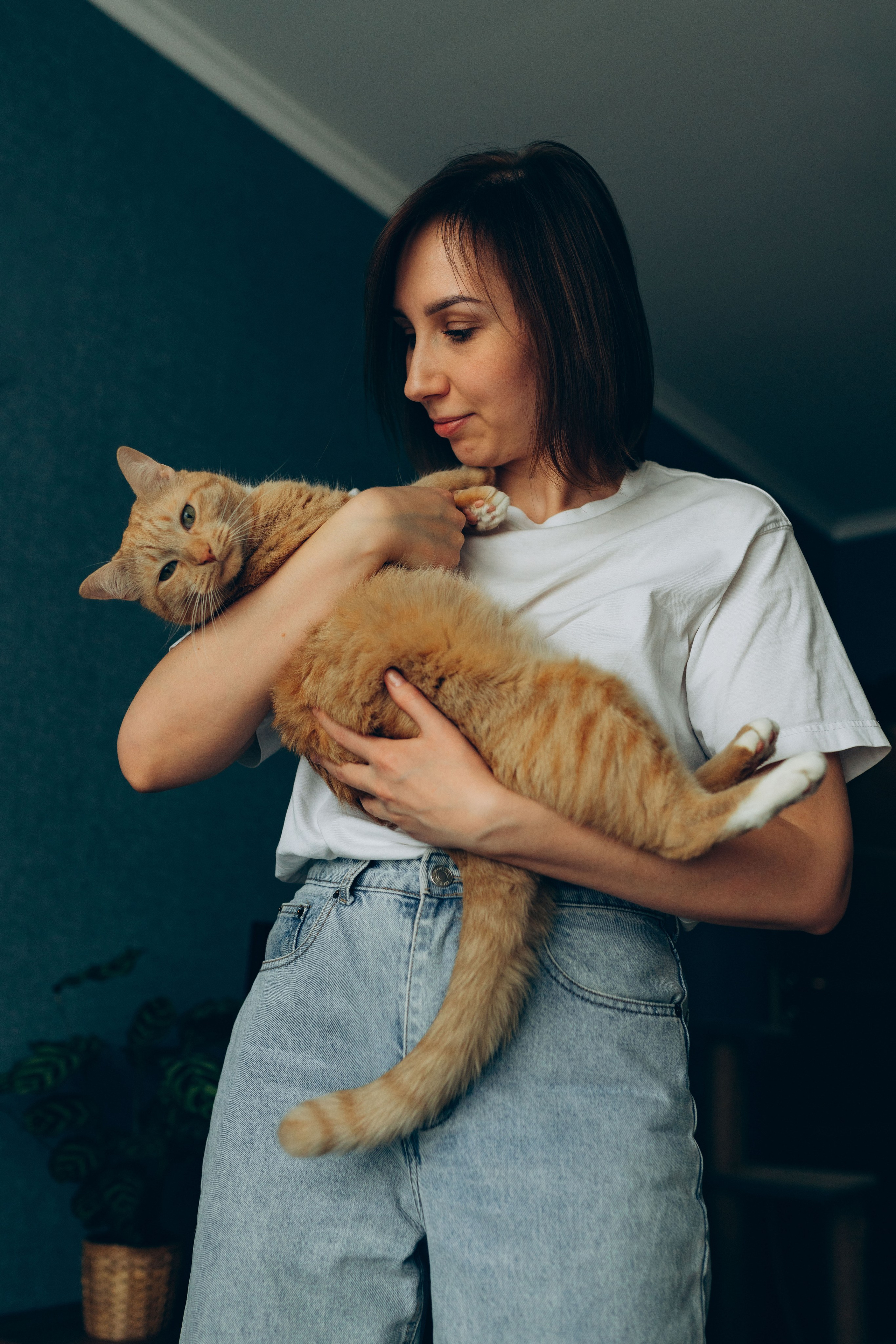 Даша и Брукс. Фотограф анималист в Спб недорого Олеся Майорова