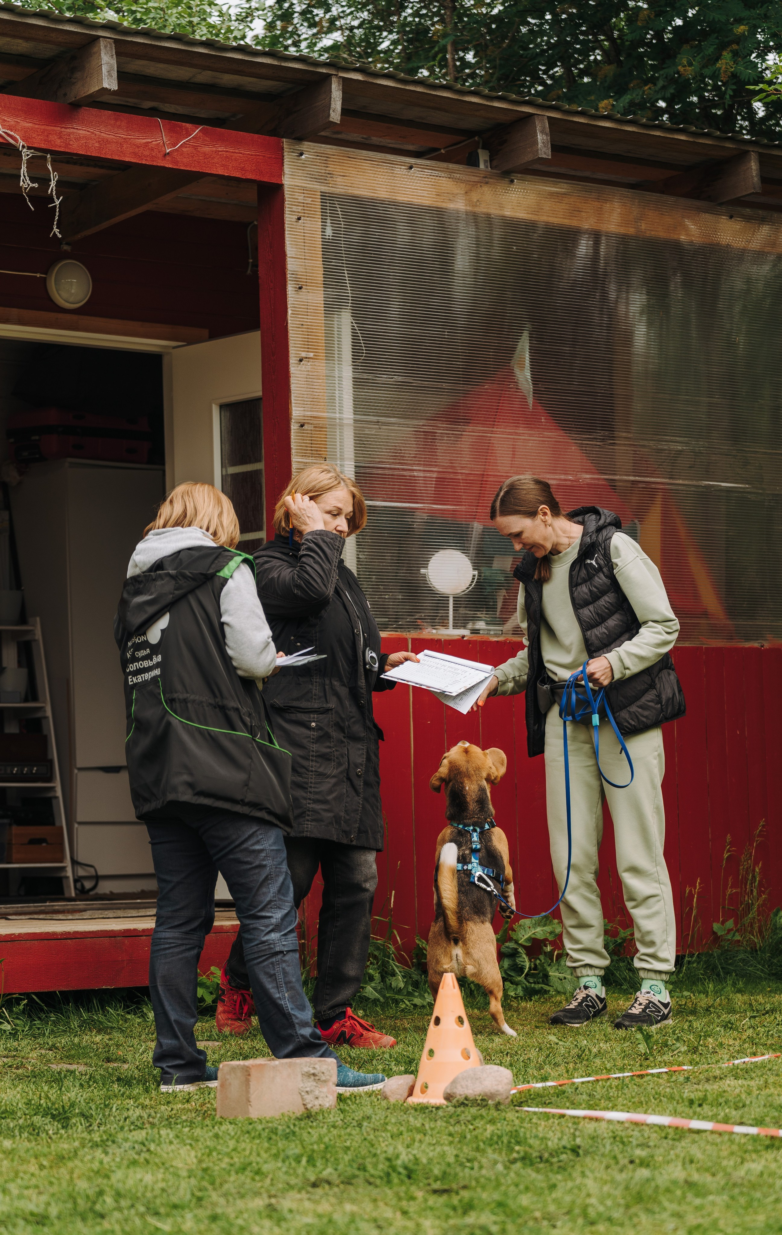 Соревнования по ноузворку. Фотограф анималист в Спб недорого Олеся Майорова