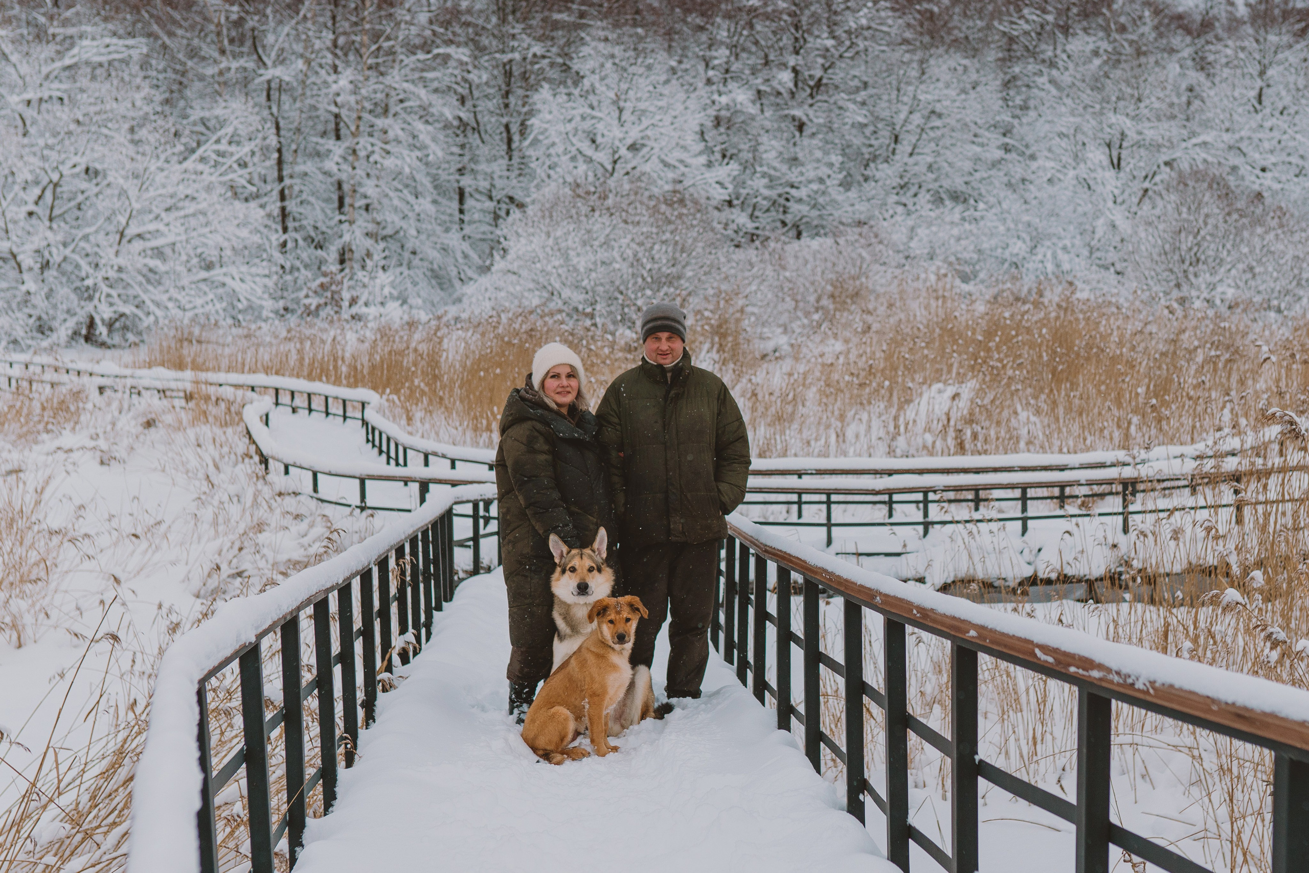 Фотосессия с питомцами на природе. Фотограф анималист в Спб недорого Олеся Майорова