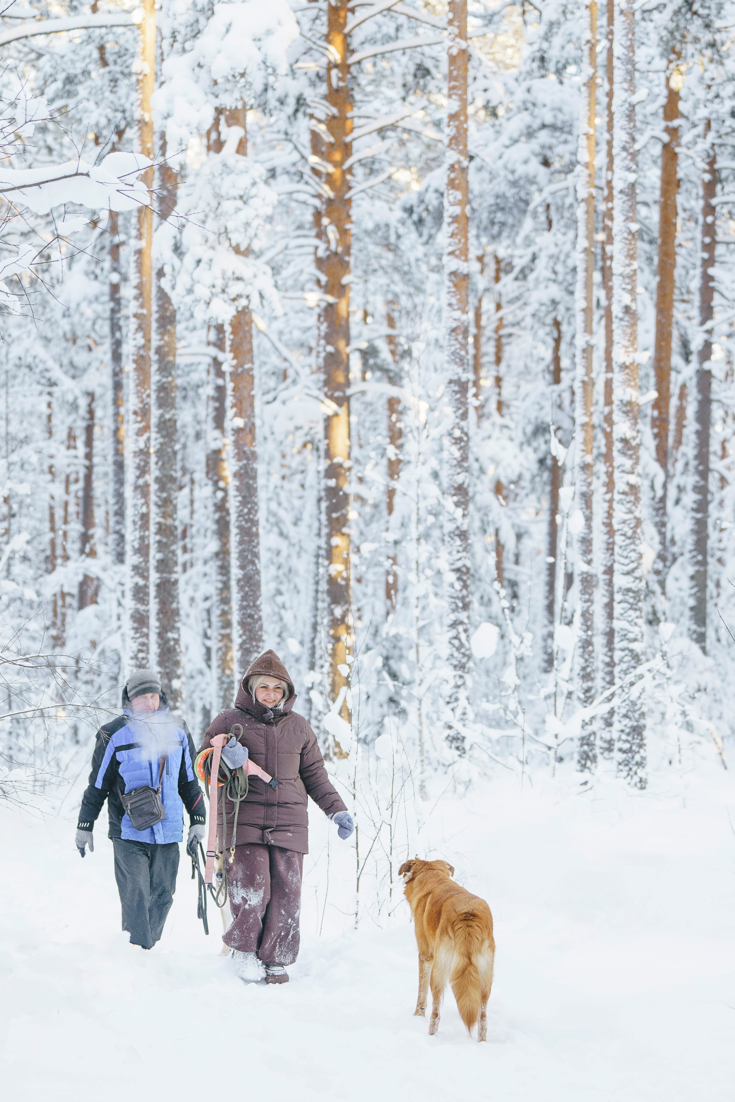 Рэй, Кузя, Ольга и Александр. Фотограф анималист в Спб недорого Олеся Майорова
