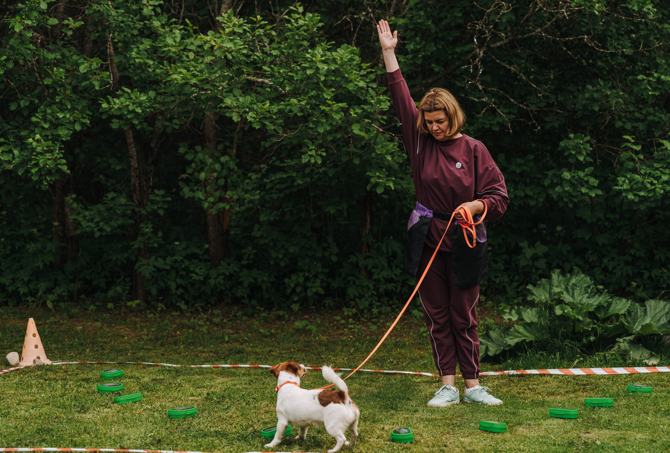 Соревнования по ноузворку. Фотограф анималист в Спб недорого Олеся Майорова