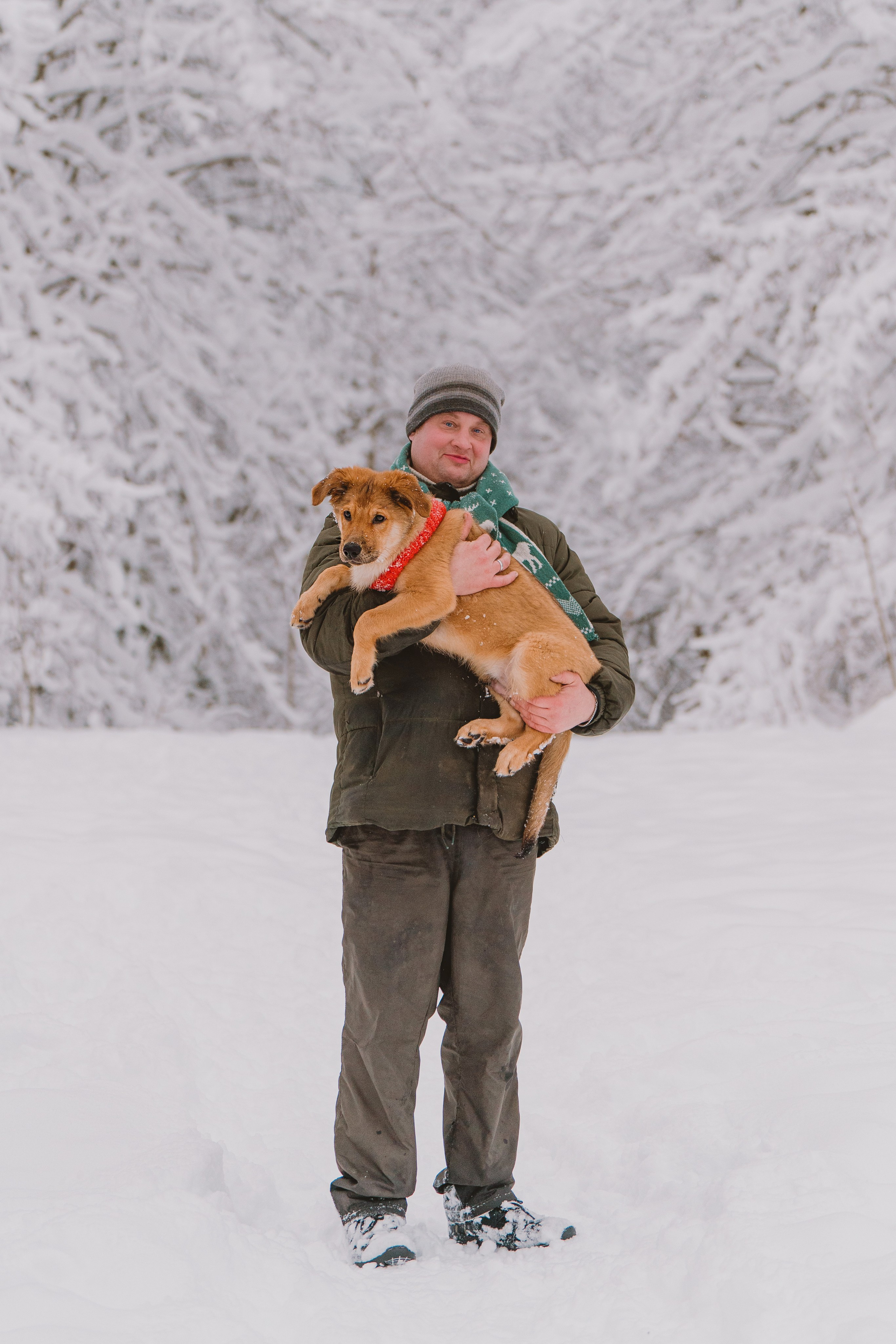 Фотосессия с питомцами на природе. Фотограф анималист в Спб недорого Олеся Майорова