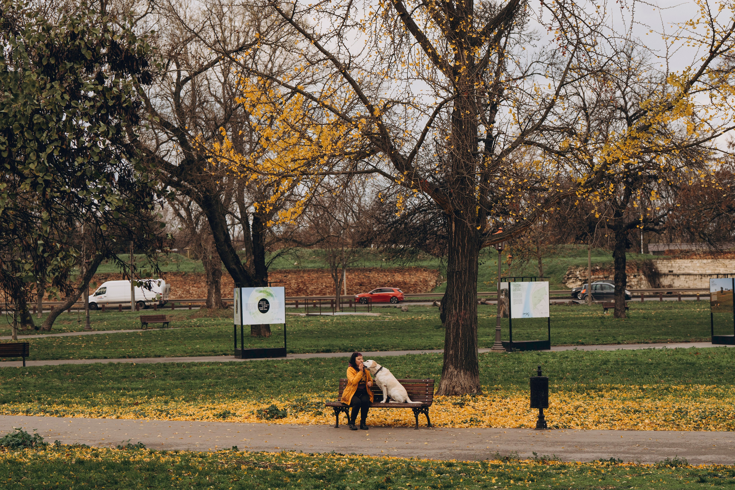 Вати, Лена и Леван. Фотограф анималист в Спб недорого Олеся Майорова