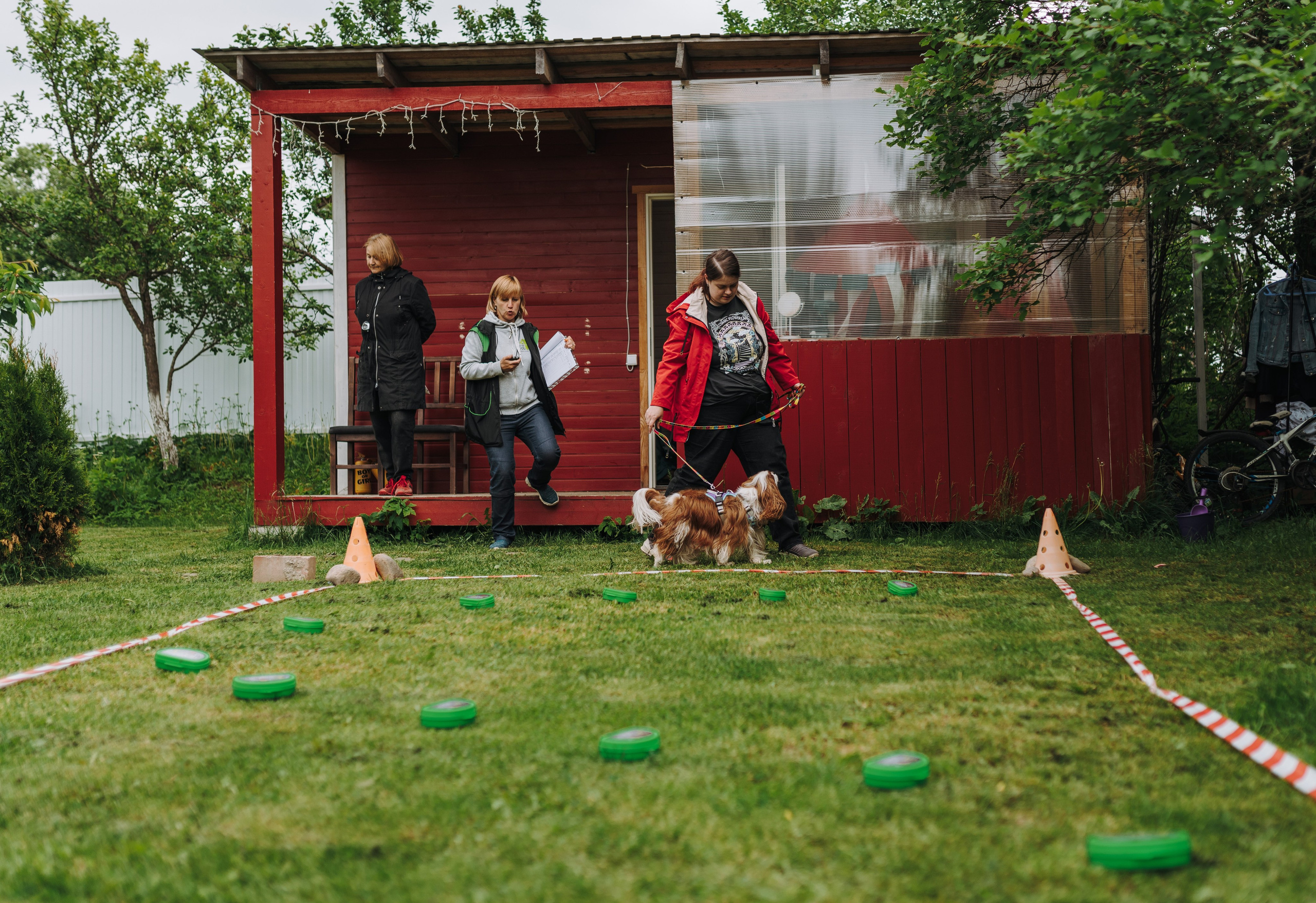 Соревнования по ноузворку. Фотограф анималист в Спб недорого Олеся Майорова