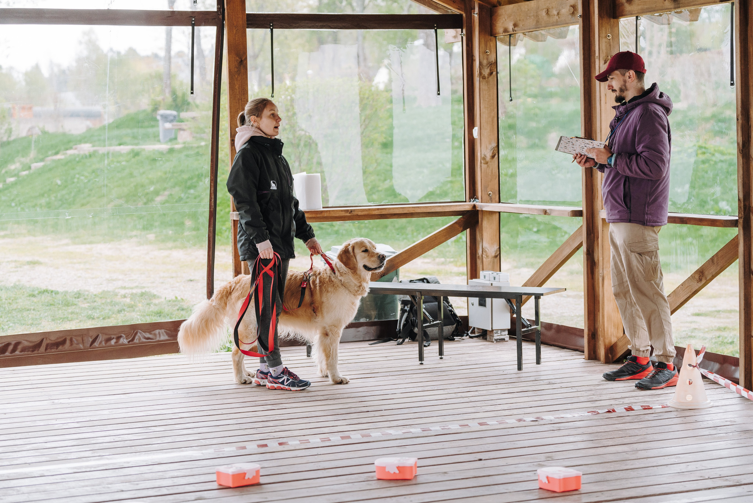 Соревнования по ноузворку в Лосево. Фотограф анималист в Спб недорого Олеся Майорова