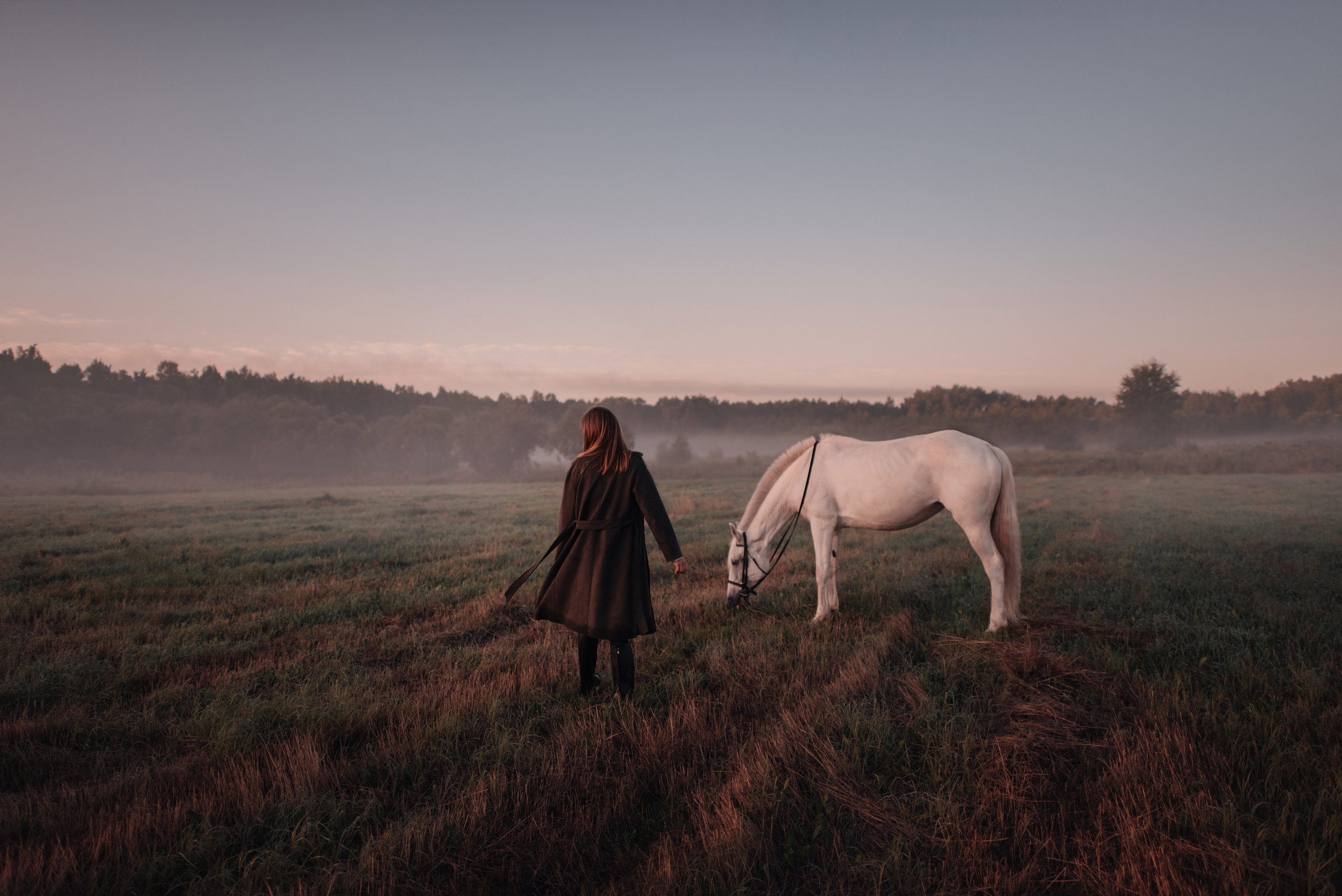 Конное: рассвет на поле с Лерой и Златой. Портфолио