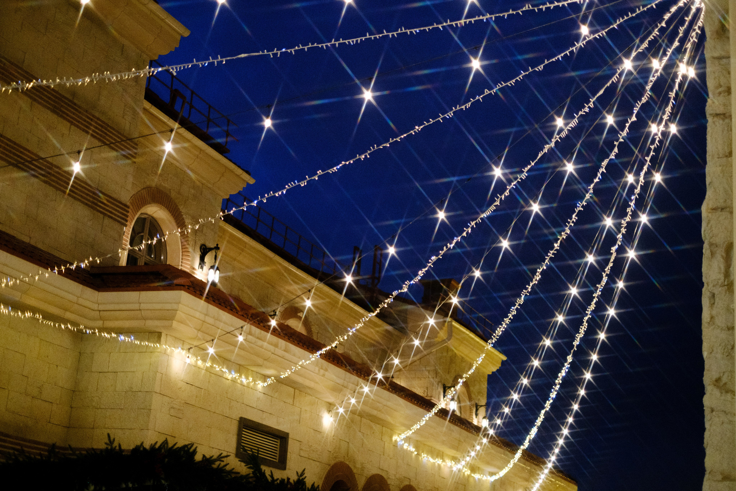 Новогодний репортаж из парка «Новый Херсонес» | Фотограф Илья Желдак. Профессиональная фотосъемка в Крыму. Натуральные эмоции и живые кадры. Забронируйте дату прямо сейчас!