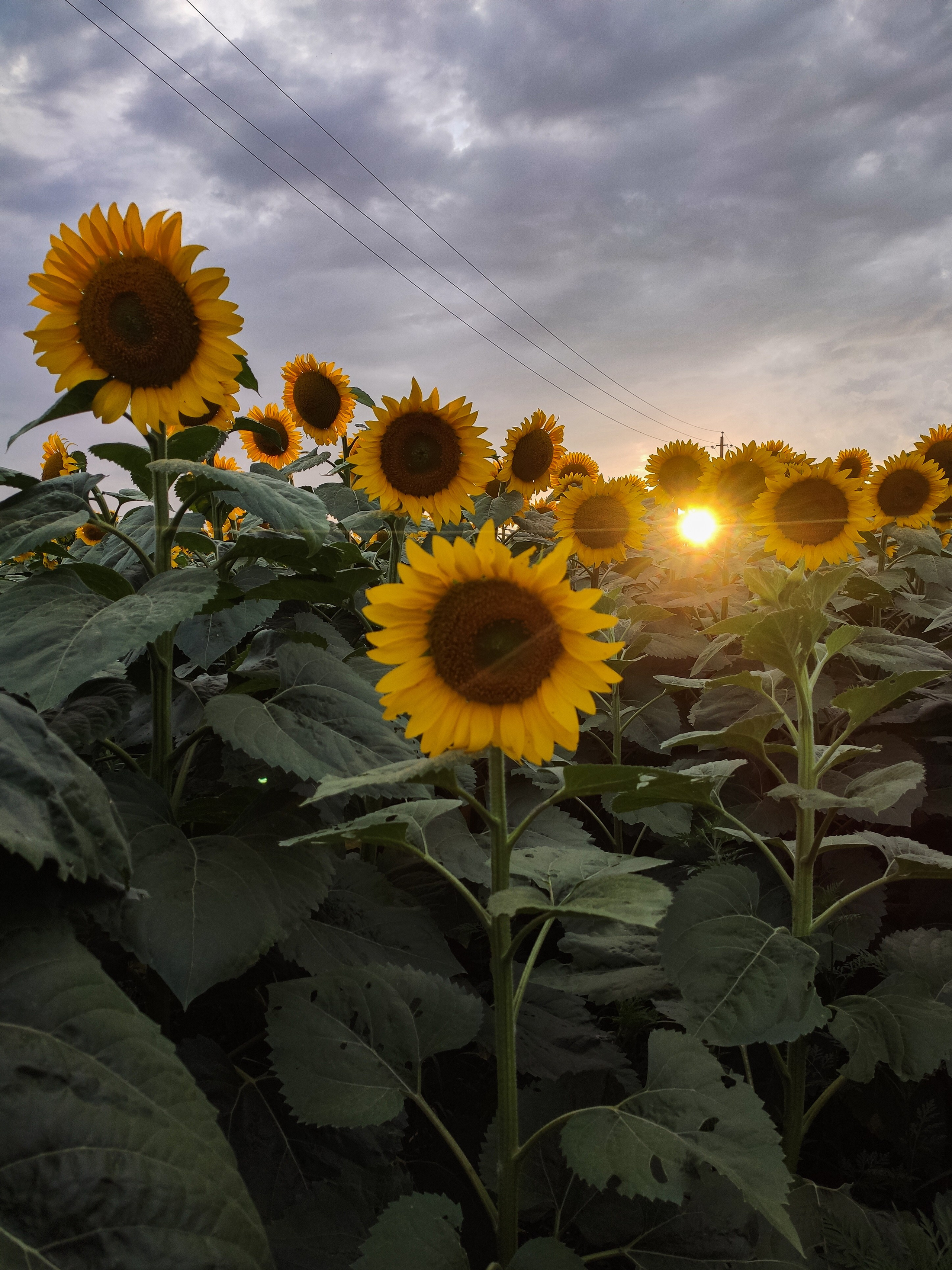 Ресурсы. Контент-фотограф Рязань/Москва/Санкт-Петербург/Сочи Елена Сазонтова